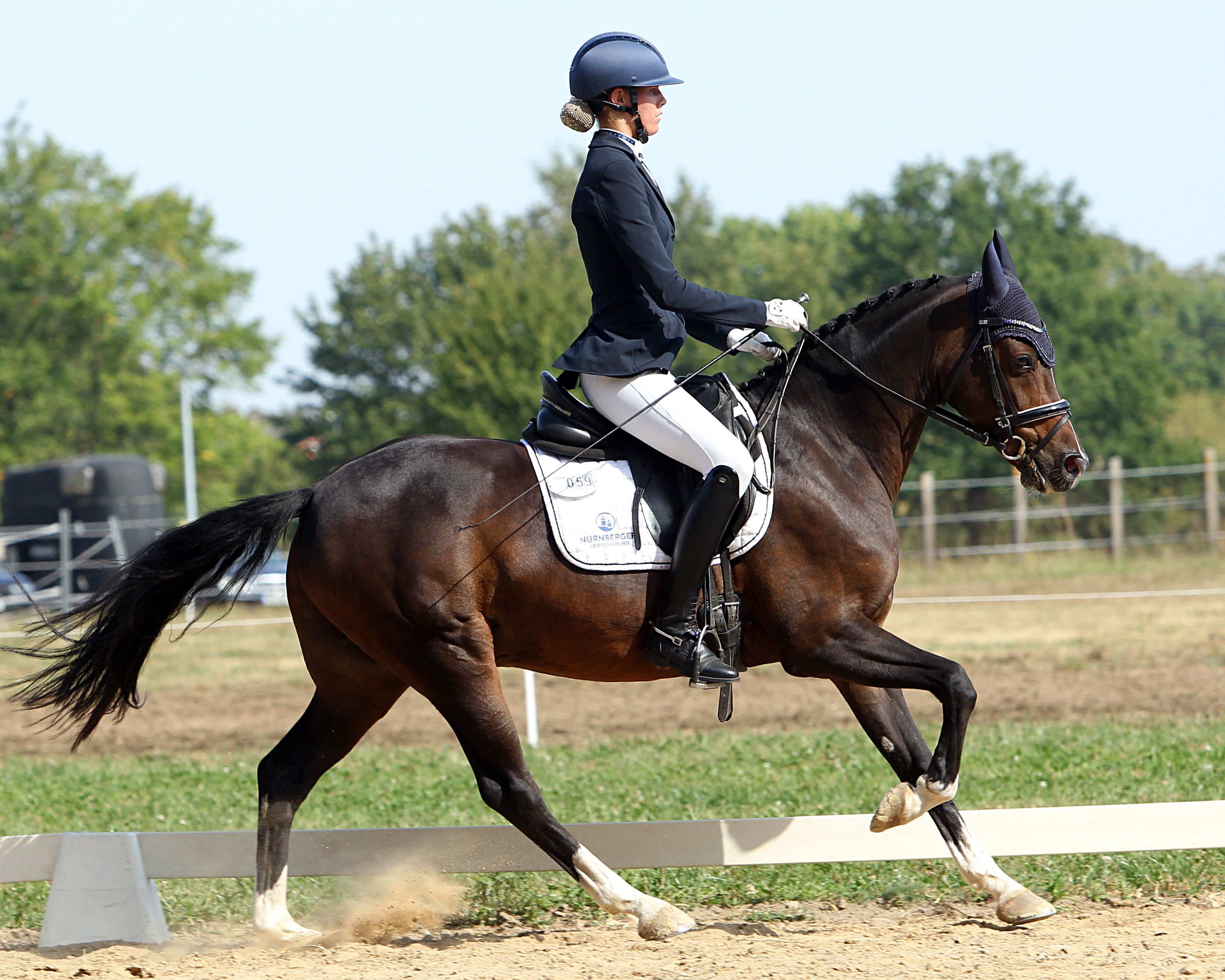 Beide L-Dressuren in denen die Pony-Aufgaben der FEI zu reiten waren und die L5 hat Stella Baranowski vom Gastgeber Wöpkendorf mit Goldkind gewonnen. © J.Wego