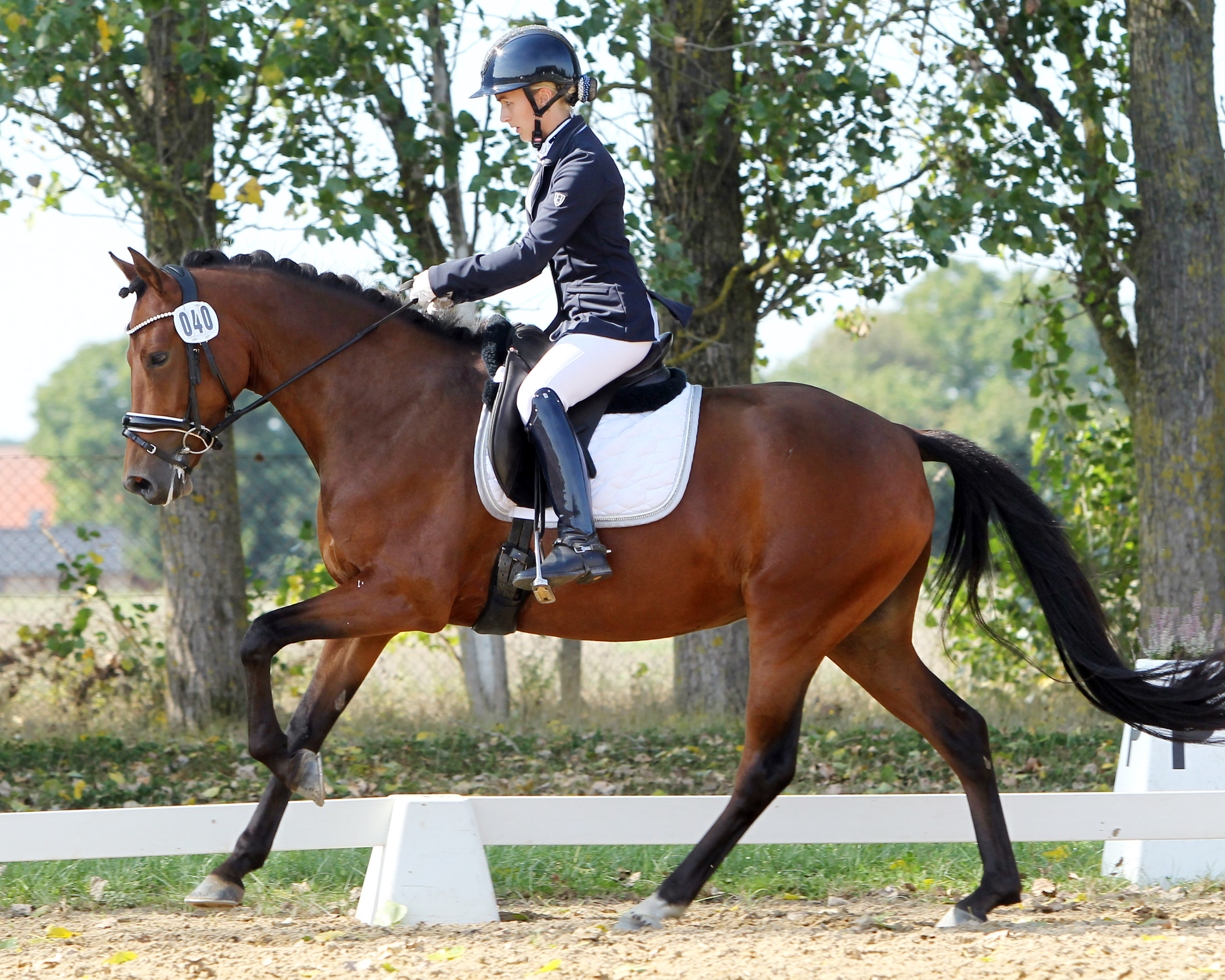 Die Pony A-Dressur am Samstag gewann Marie Franke (Eldena) auf der 5-jährigen Djosefine G, die zuvor im Landeschampionat Zweite wurde. © J.Wego