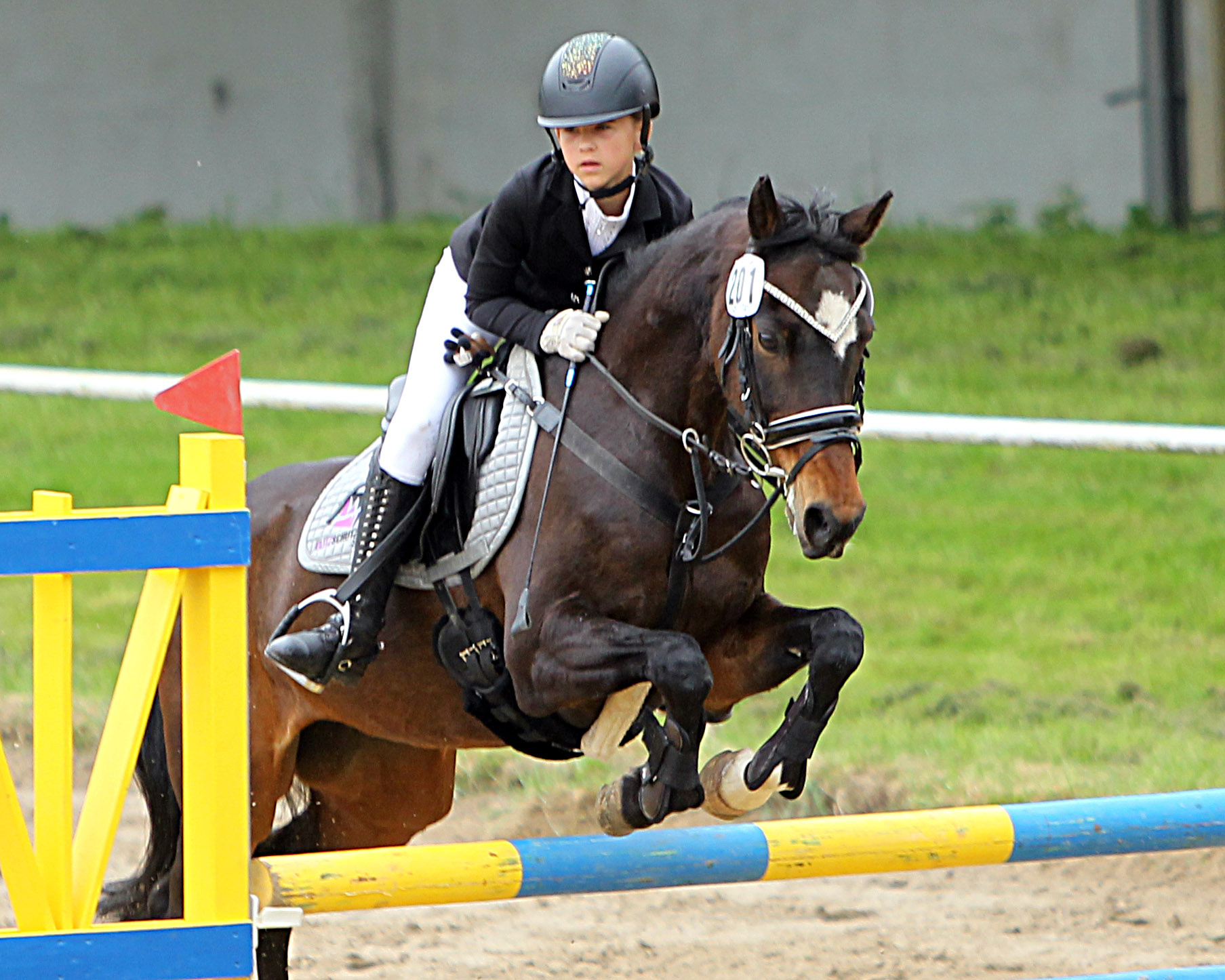 Im Pony-Punktespringen Klasse A war die 13-jährige Fiby Sosna (Teschow) mit Morgenstern die Schnellste. Im L-Punktespringen wurde sie Dritte. © J.Wego