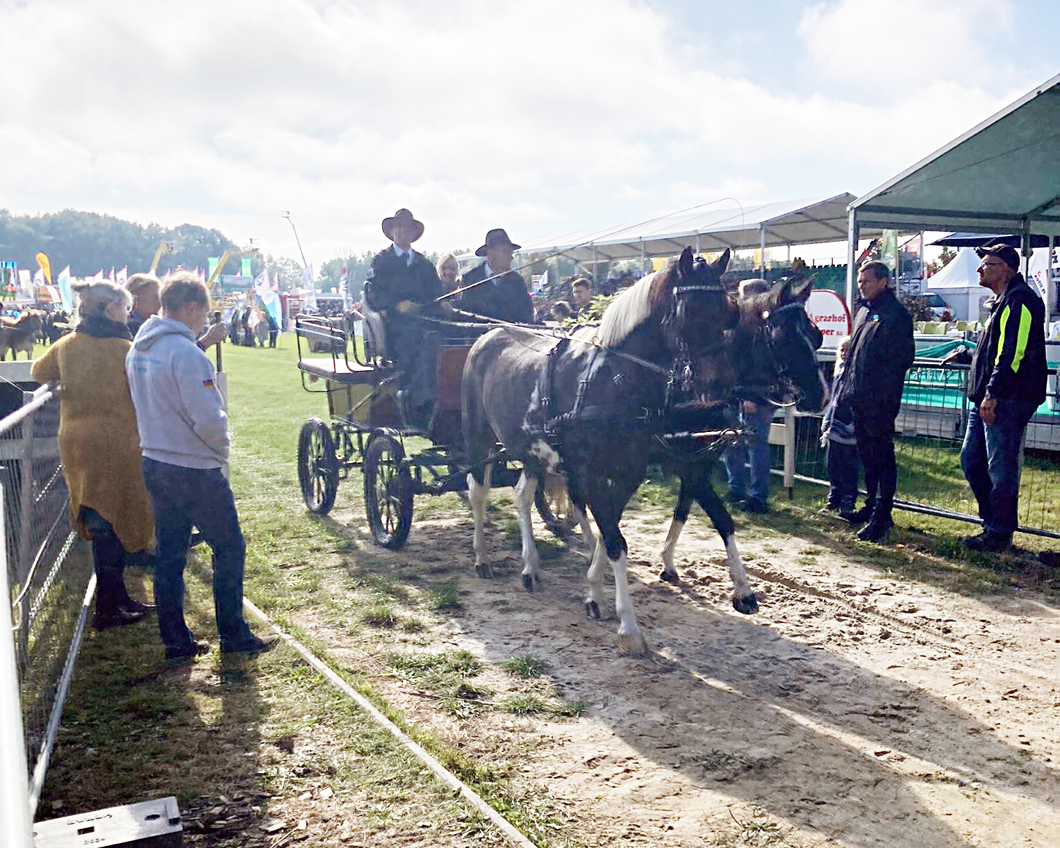 Sieger des Hindernisfahrens bei der MeLa in Mühlengeez wurde Christian Rausch (Reckenzin) mit den Lewitzern Prinzessin und Schakira. Als Beifahrer hatte er Holger Reimer vom Milchkontroll- und Rinderzuchtverband auf dem Wagen. © privat