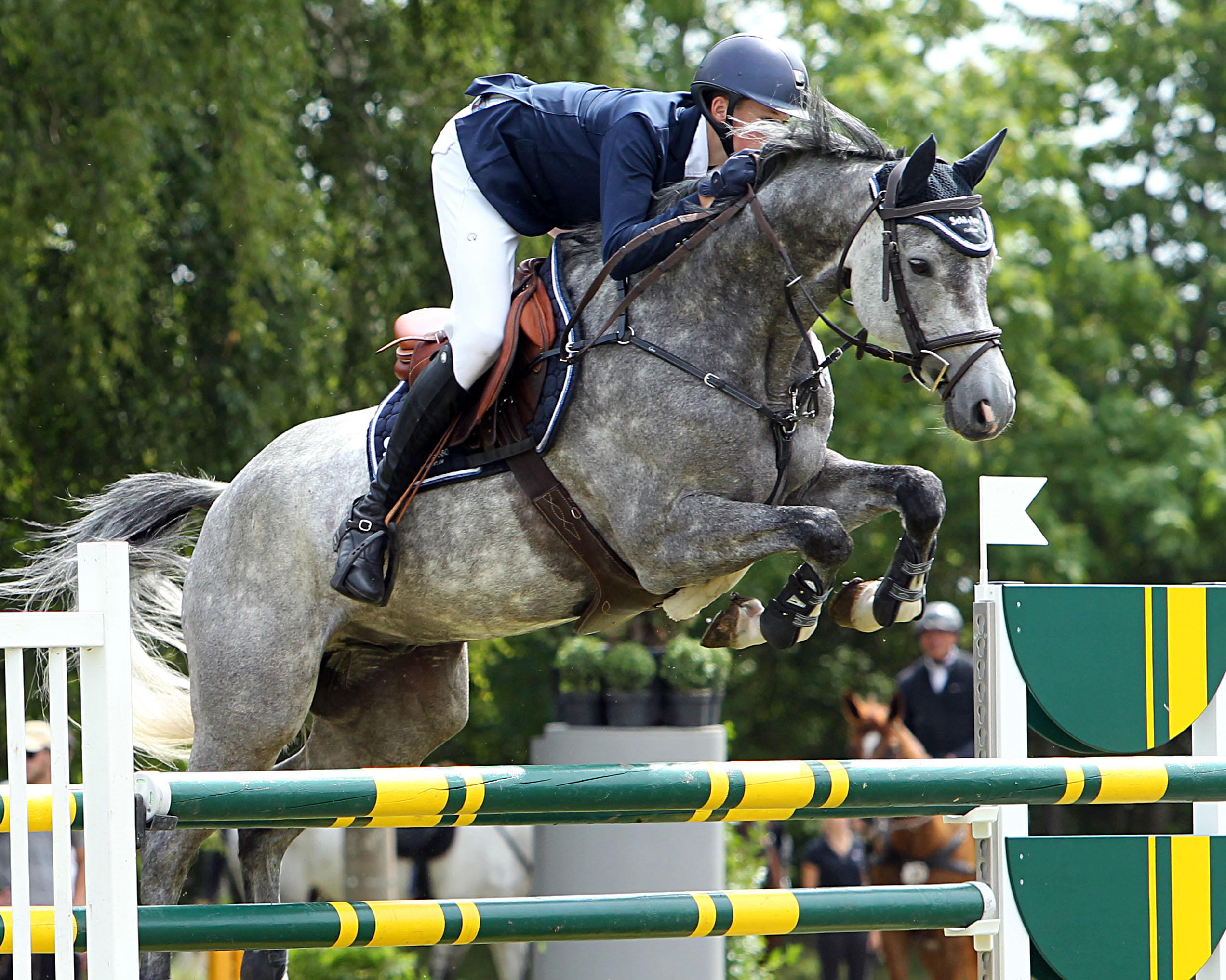 Der 18-jährige Hendrik Greve hat in Scharnebeck das Zwei-Sterne M-Springen mit Best Buddy gewonnen. © J.Wego