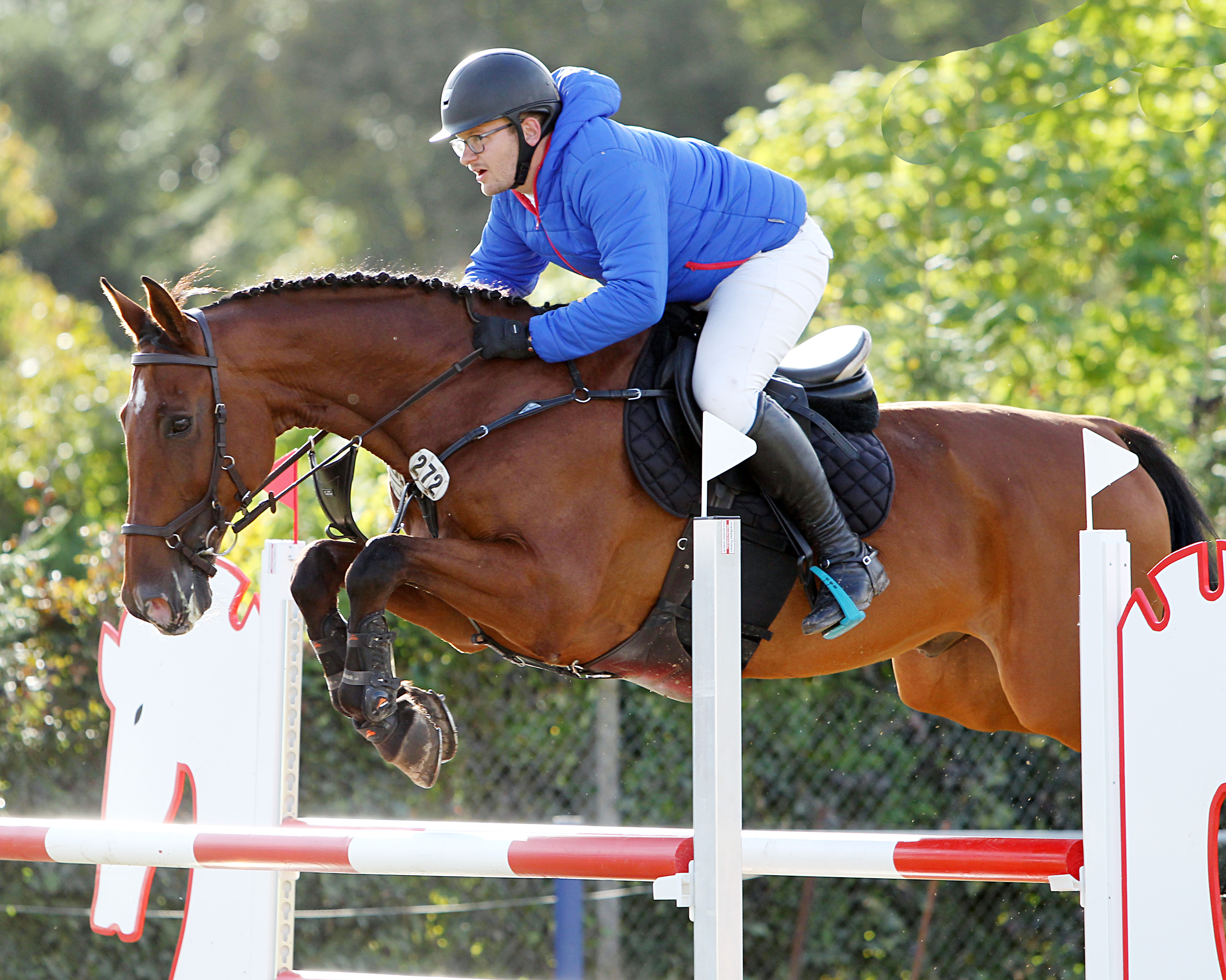 Nach Platz 2 und 3 im Chapionat gewann der 27-jährige Florian Villwock (Wöpkendorf) den Großen Preis mit dem 12-jährigen Lucatoni und wurde erfolgreichster Reiter in Malchow. © J.Wego