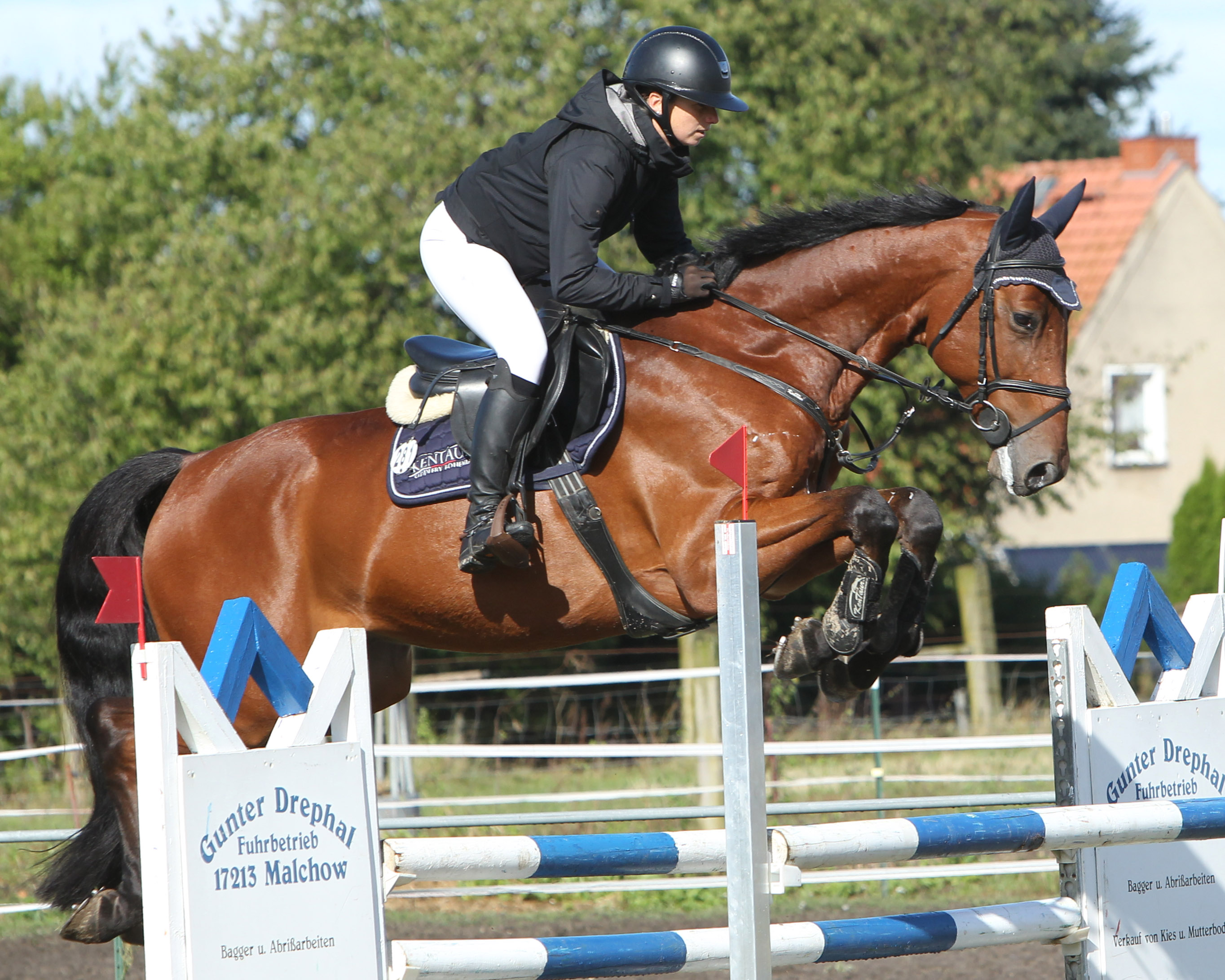 Das Stilspringen Klasse L gewann Anika Elgert (Bereiterin im Stall von André Thieme) mit Stilnote 8,6 auf MF Come Home. © J.Wego