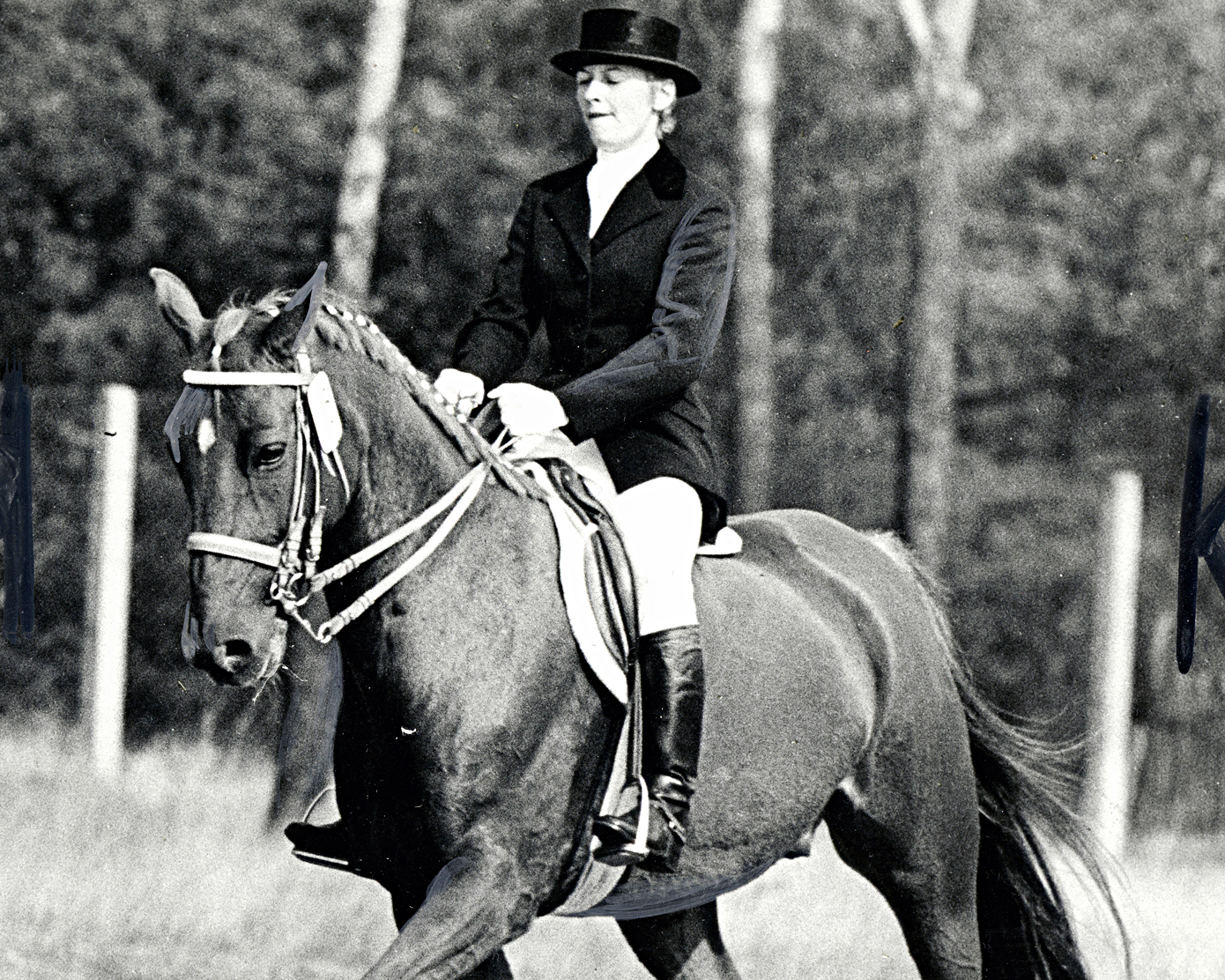 Liselotte Beyer, Ikone des Dressursports in der DDR, mit Rugby, mit dem sie von ihren elf Meistertiteln von 1972 bis 1976 fünf gewann. © Mihatsch