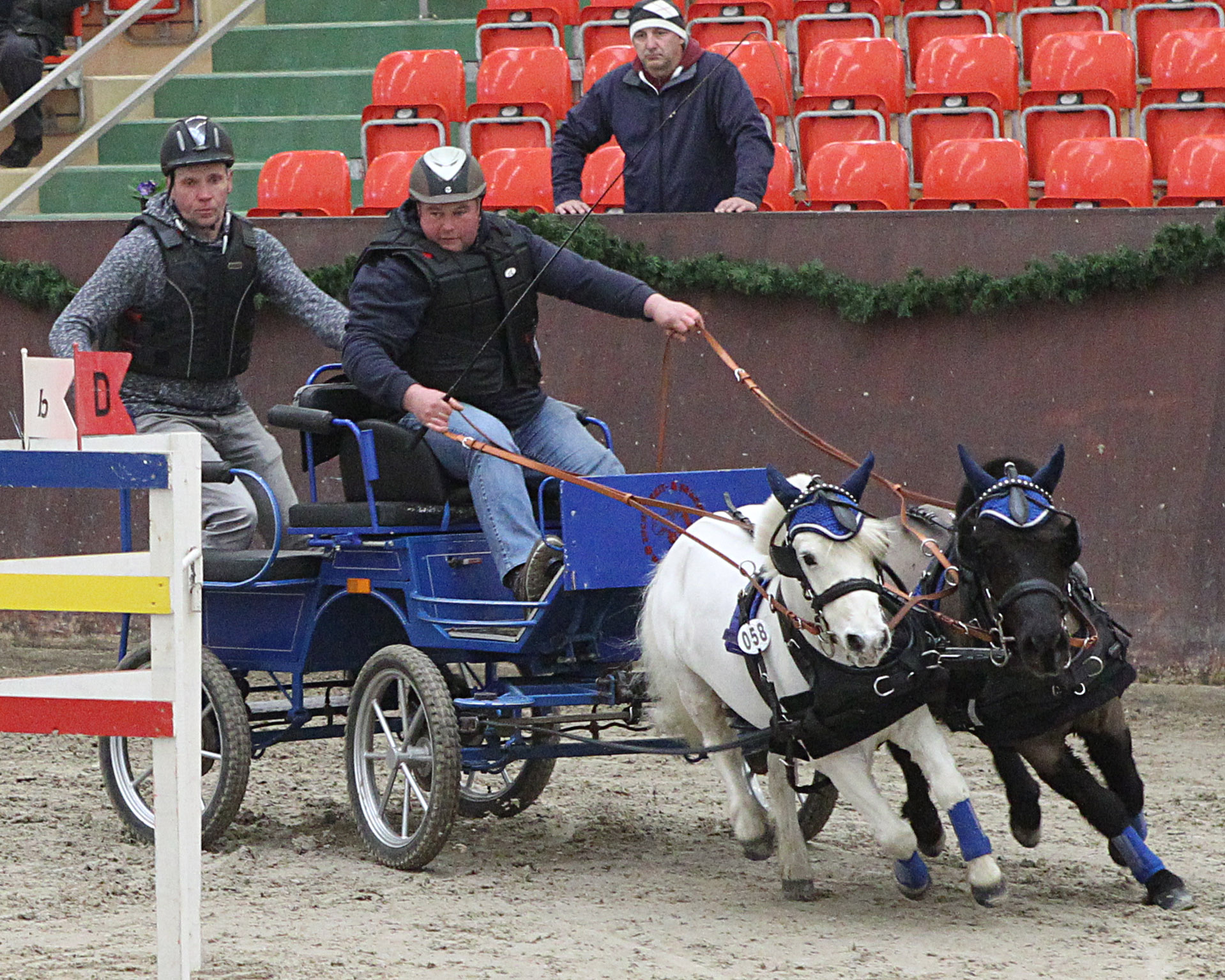 Auch Mathias Stump aus Wusterhusen (hier bei Fahrprüfungen in Redefin) fuhr mit seinem Shetlandponygespann in Negernbötel zu einem Sieg in Klasse A. Kassiopeia spannte er vor 5 Jahren schon an. © J.Wego