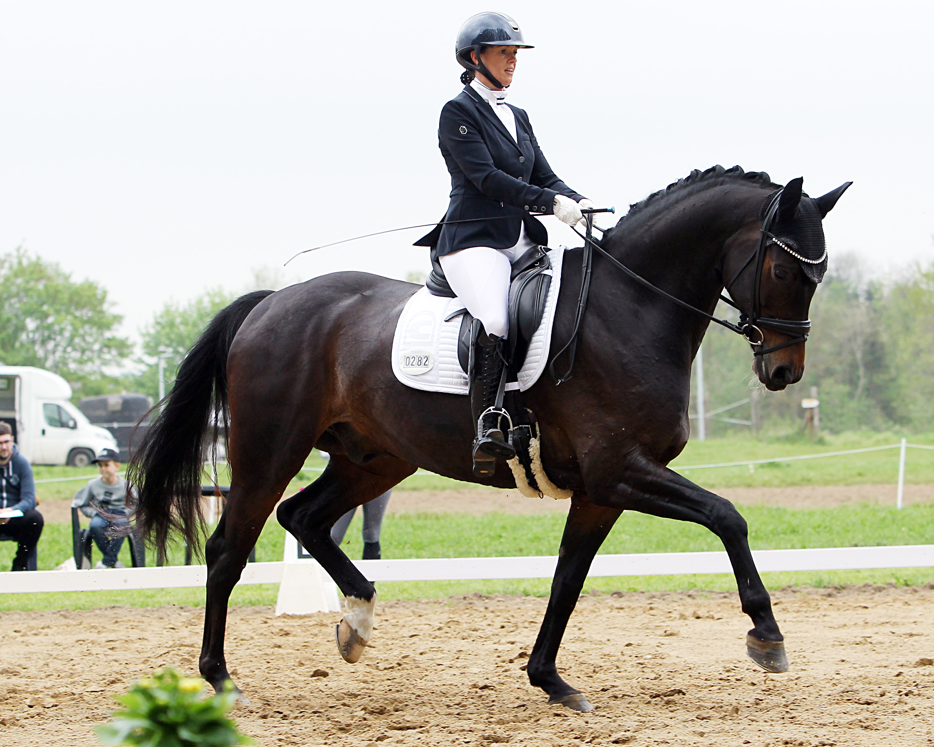 Zu den Siegerinnen in der Cavallo Arena gehörte auch Katja Gleisner (Güstrow), die mit Legros son die L-Dressur L5 am Sonntag gewann. © J.Wego