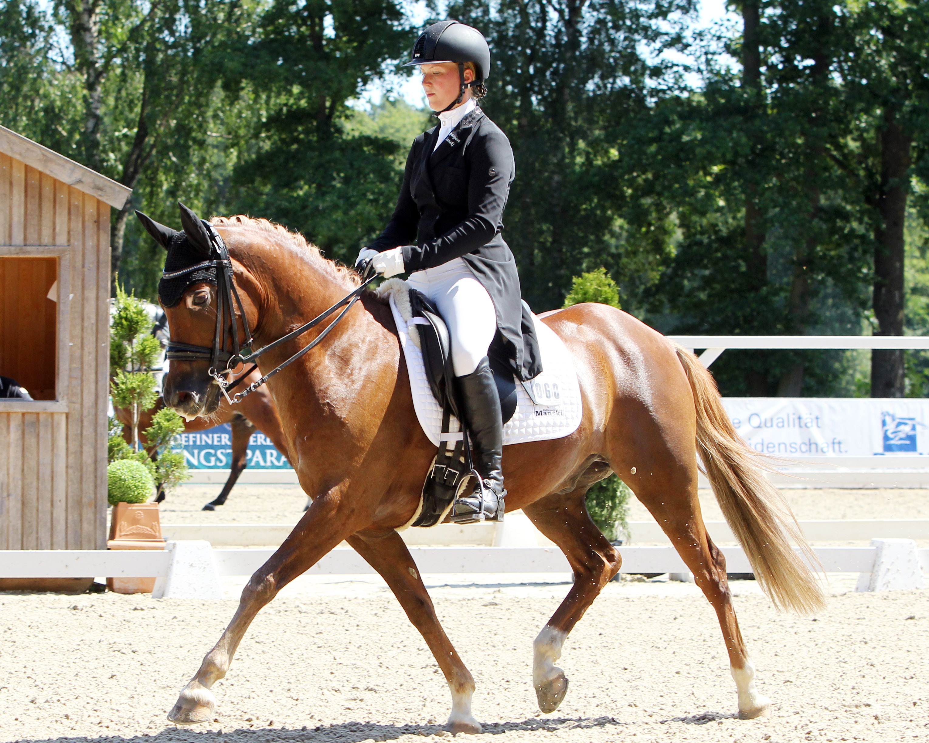 Ein sehr erfolgreiches Paar - Ann-Christin Mehl und der 13-jährige Top Dubidu-Sohn Domino - in der Güstrower Cavallo-Arena wurden sie Zweite in der S-Dressur. © J.Wego