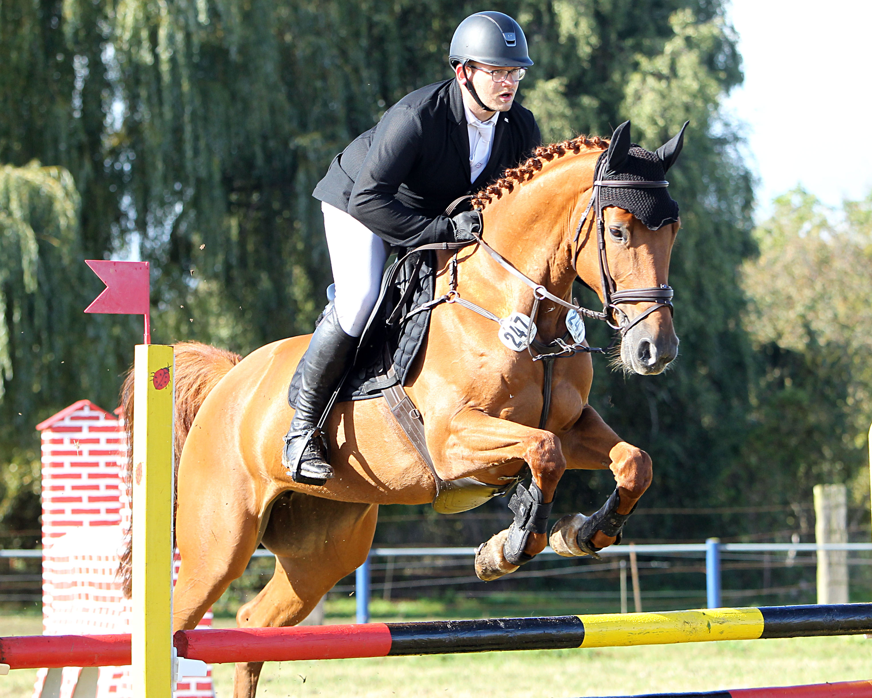Zu den Siegern im Clear Round Springen Klasse M von in Göhren-Lebbin gehörte auch Florian Villwock auf Vinnypeach, mit der er auch das L-Punktespringen gewann. © J. Wego