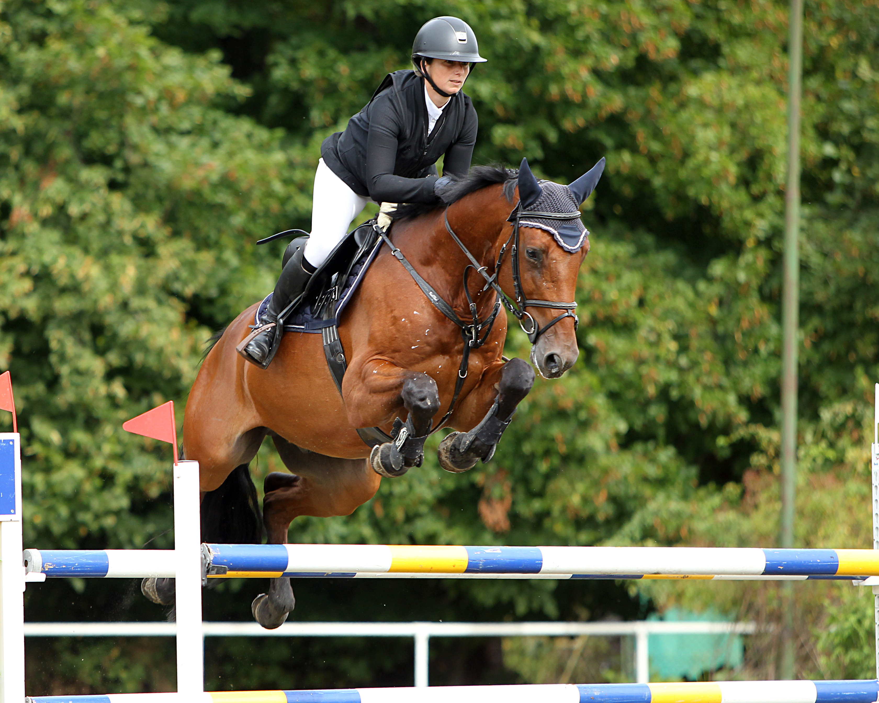Auch Anika Elgert aus Karow war sehr erfolgreich: mit MF Come Home (Foto) wurde sie in der Springpferde M Zweite, mit Cellesta und Keynote gewann sie zwei Abteilungen Springpferde A1*. © J.Wego