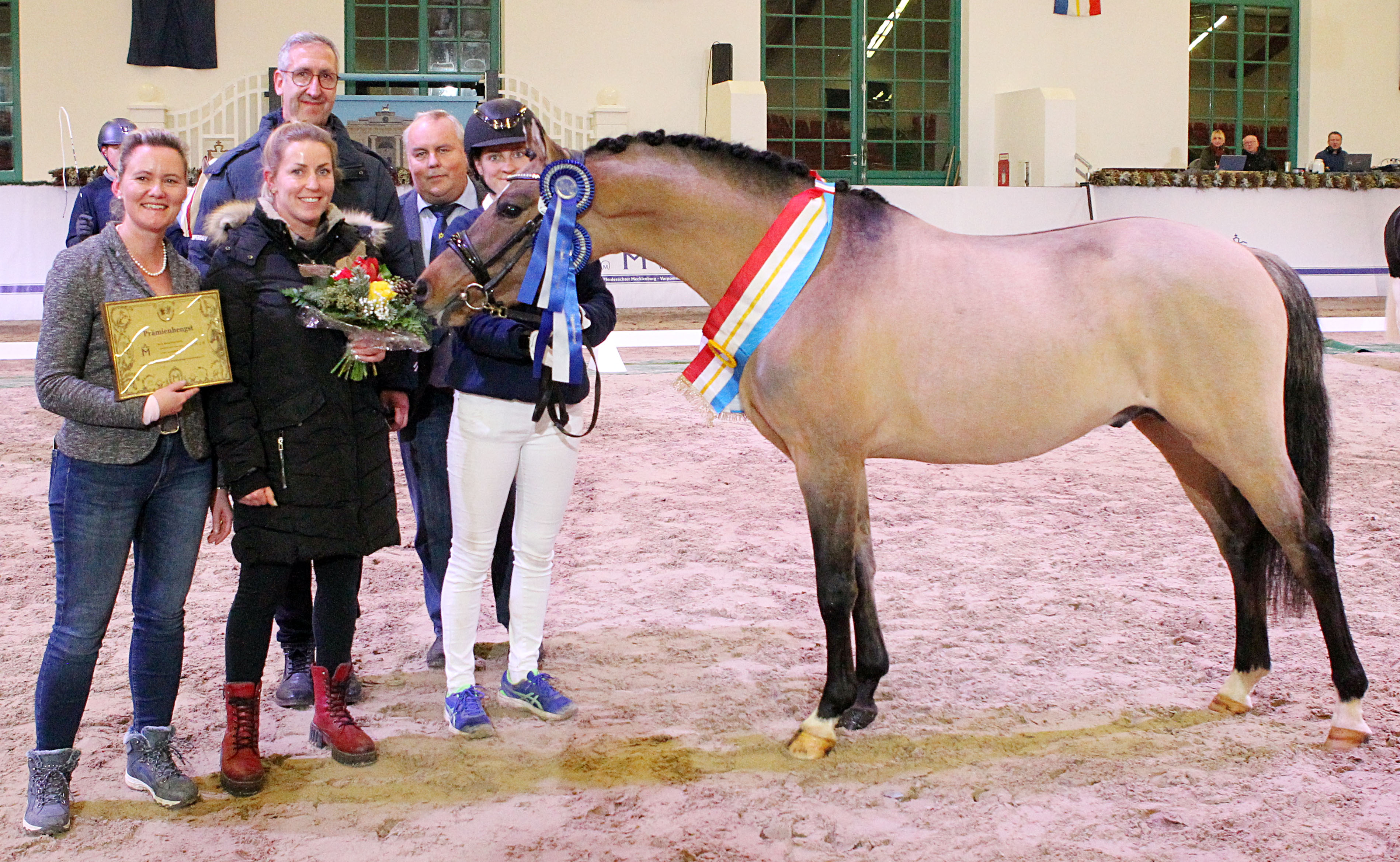 Prämiert wurde auch Reitpony Chocolatier von Cosmopolitan D NRW den das Landgestüt Redefin aus der Zucht von Dirk Mamerow ausstellte. Darüber freuten sich zusammen mit Verbandspräsident Jörg Hasselmann die Züchter und Christin Romanowski (l.), kommissarische Leiterin des Landgestüts Redefin. © J.Wego