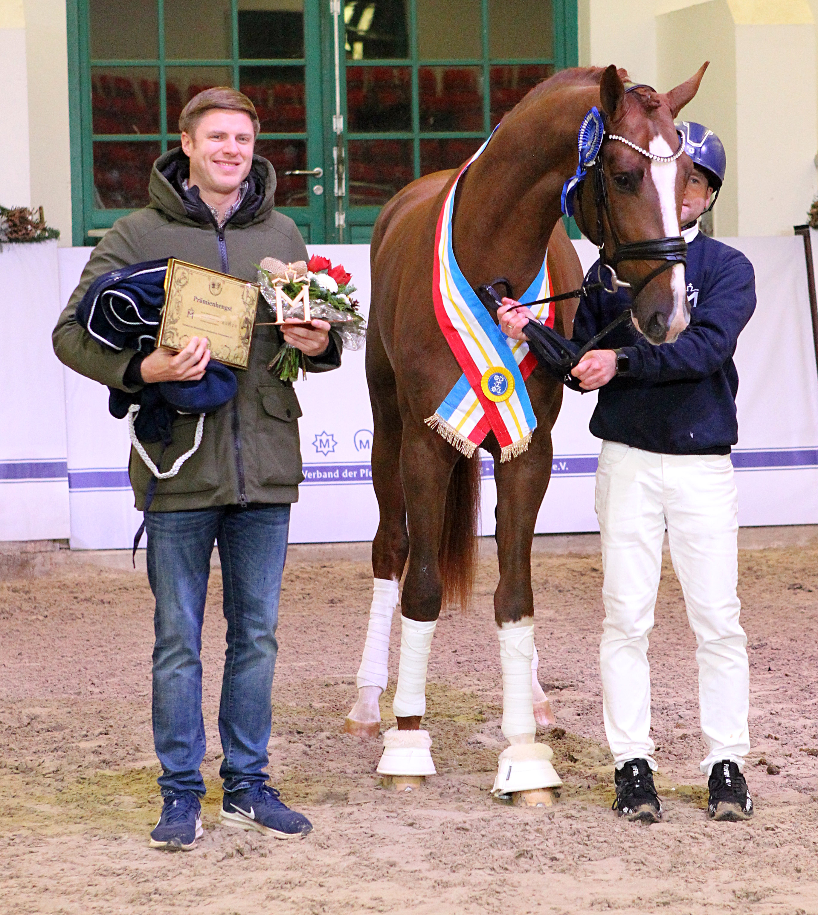 Kat.Nr. 05 - Dressur Sieger, Oldenburger (175cm) von Debutant PS / Totilas (A.u.Z.: Gestüt Lewitz (Neustadt-Glewe). © J.Wego