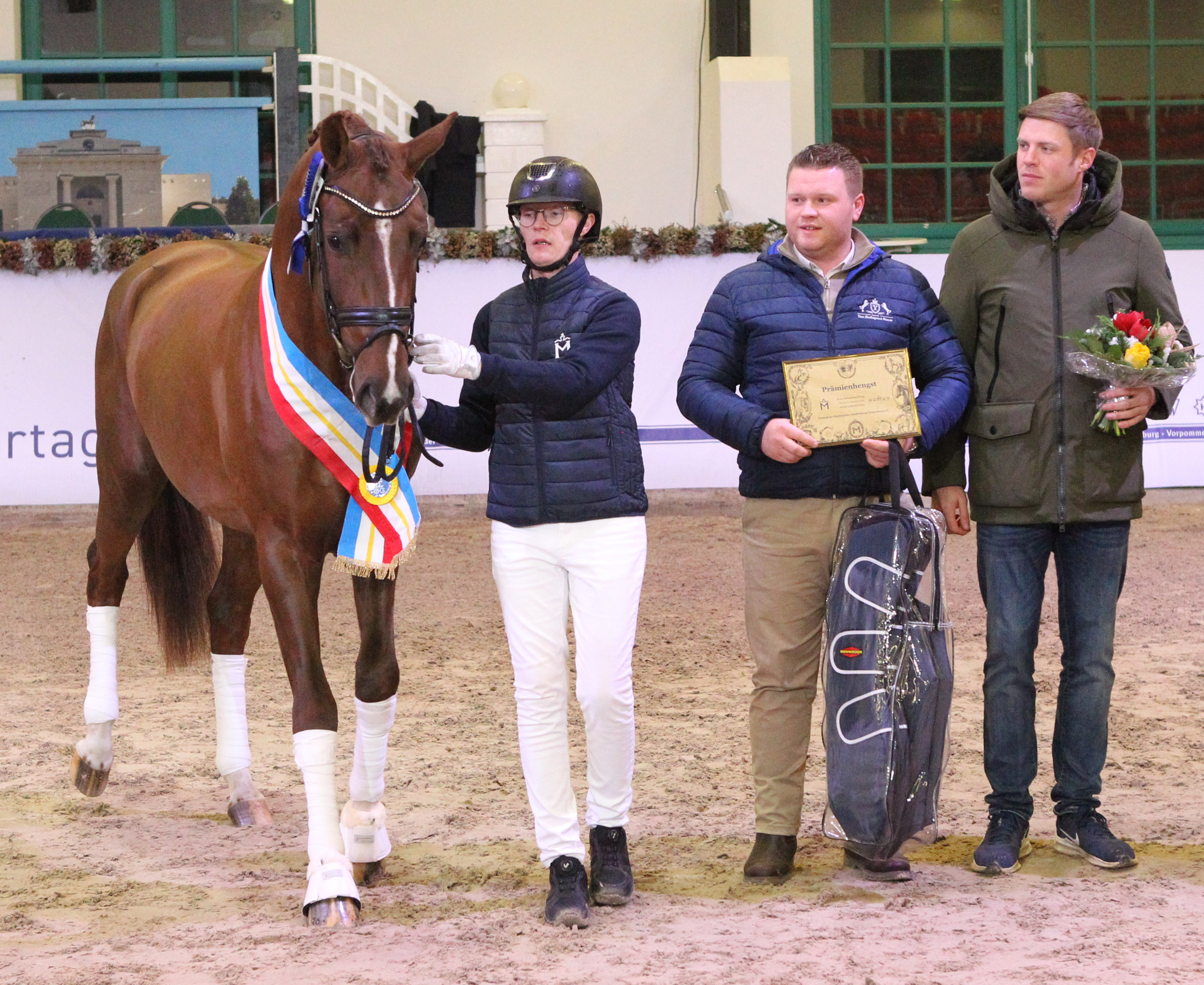 Kat.Nr. 45 Dressur 2. Reserve, Oldenburger (167cm) von Vitalis / Top Gear (A.u.Z.: Gestüt Lewitz (Neustadt-Glewe). © J.Wego