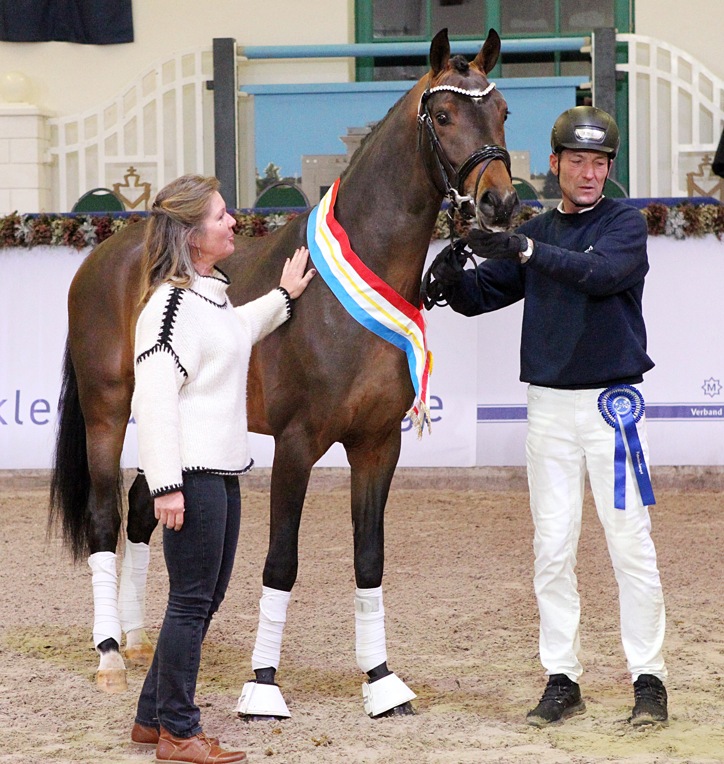 Kat.Nr. 45 Dressur 2. Reserve, Oldenburger (167cm) von Vitalis / Top Gear (A.u.Z.: Gestüt Lewitz (Neustadt-Glewe). © J.Wego