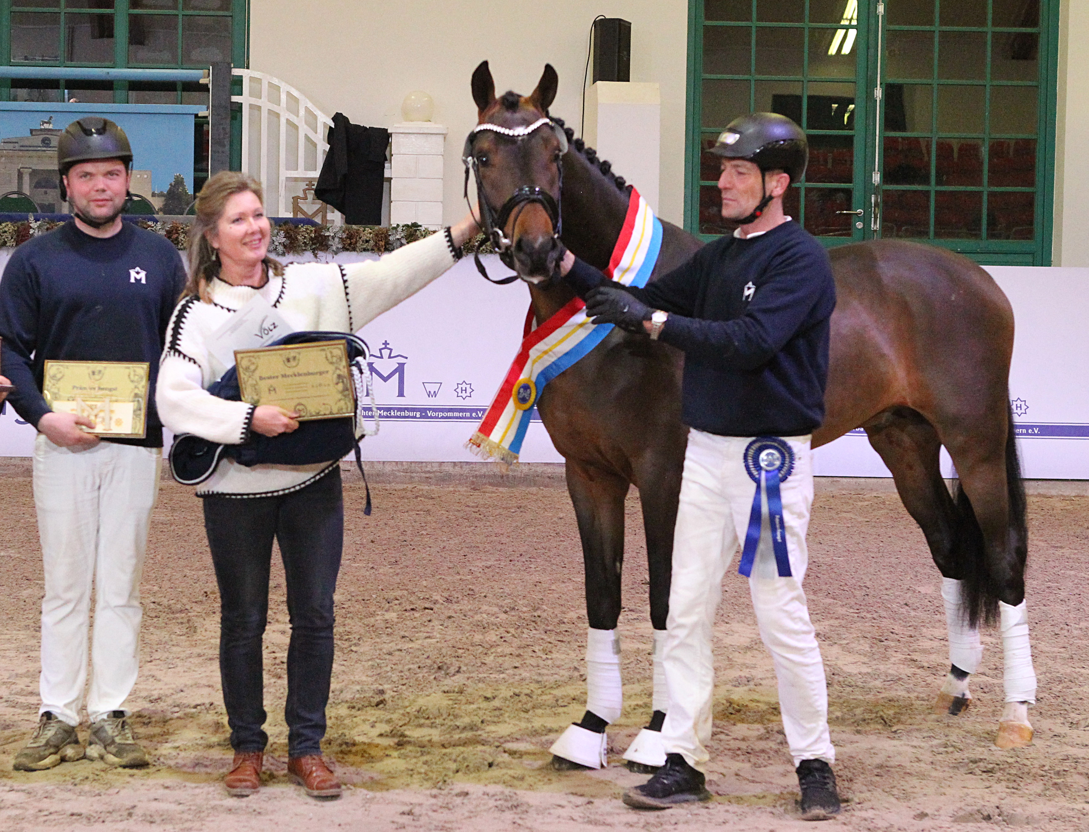 Kat.Nr. 18 Dressur prämiert, Mecklenburger (166cm) von Galaxy / Fürst Wilhelm (A.: Kristin Biermann, Essen; Z.: Kathrin Bartrow, Dersekow). © J.Wego