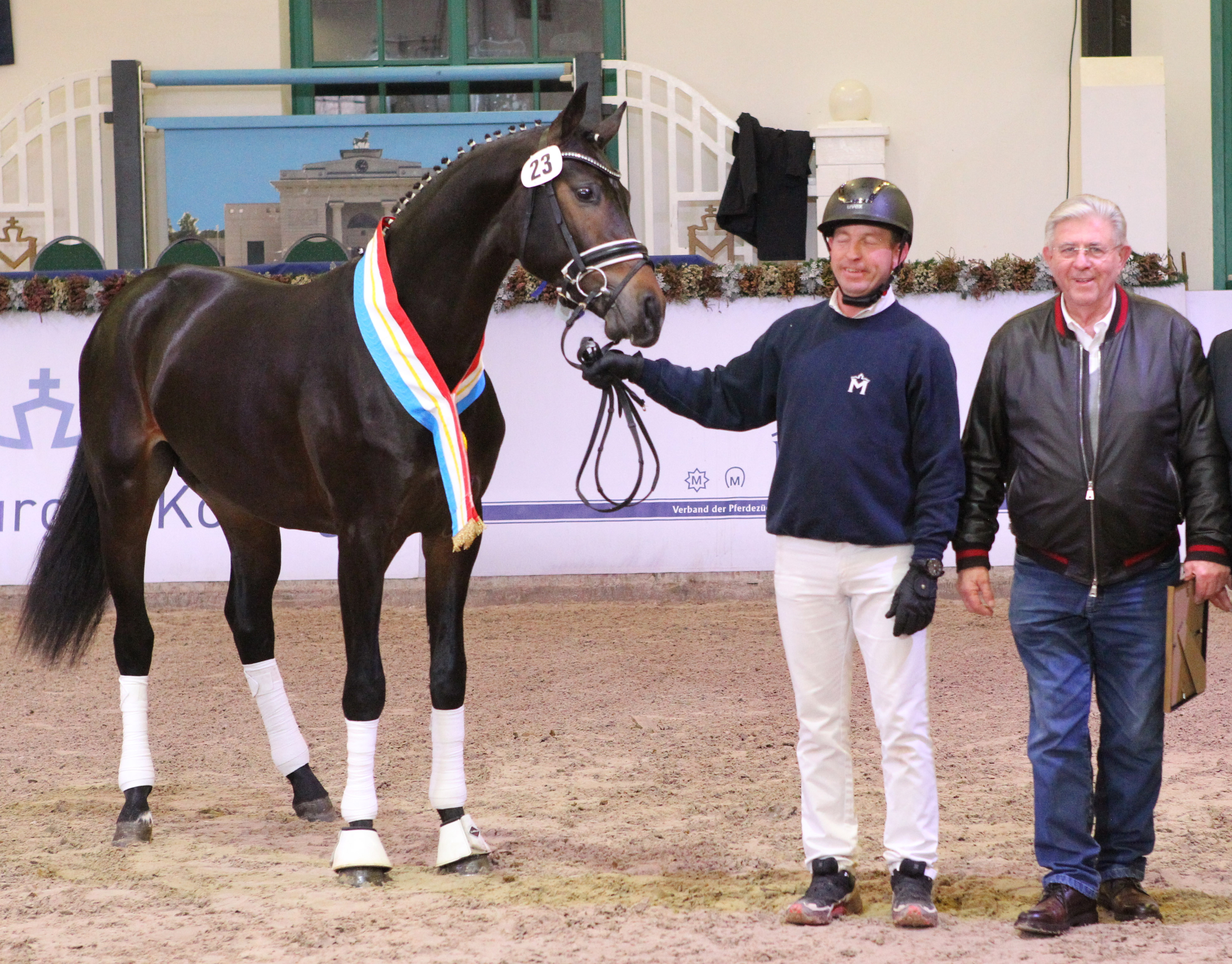Kat.Nr. 23 Dressur prämiert, Deutsches Sportpferd (166cm) von Le Vivaldi / Escolar (A.: Heinrich Ramsbrock, Menslage; Z.: Jacques Remy, Escherange/Frankreich). © J.Wego