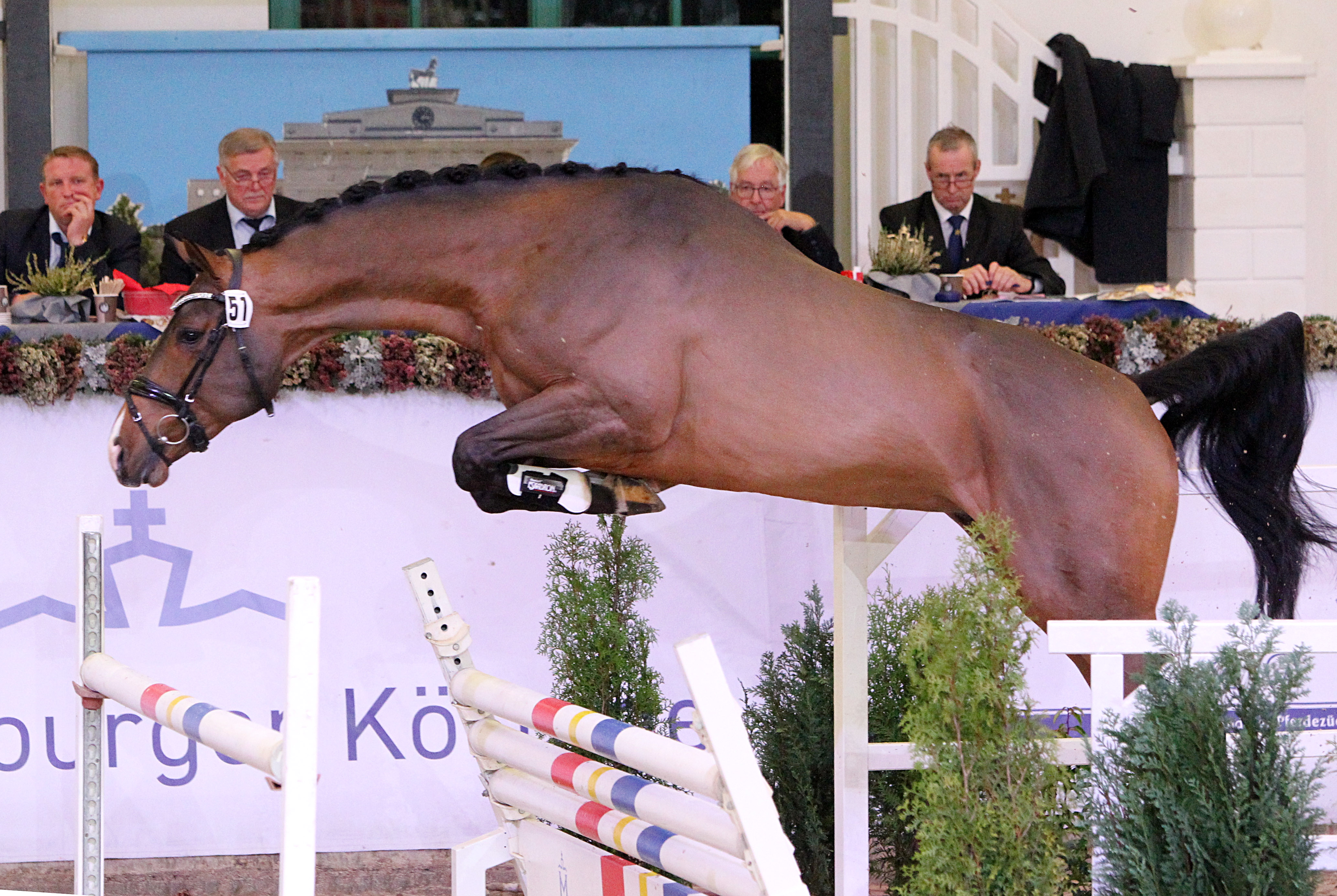 Kat.Nr. 58 Springen Sieger, Hannoveraner (170cm) von Chacfly PS / Landor S (A.: MW Sportpferde GmbH, Darmstadt; Z.: Markus Winkler, Darmstadt). © J.Wego