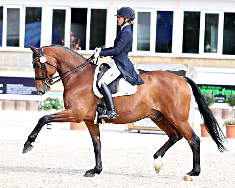 BALIOS PRIMUS mit Stephanie Witzemann. © Lafrentz