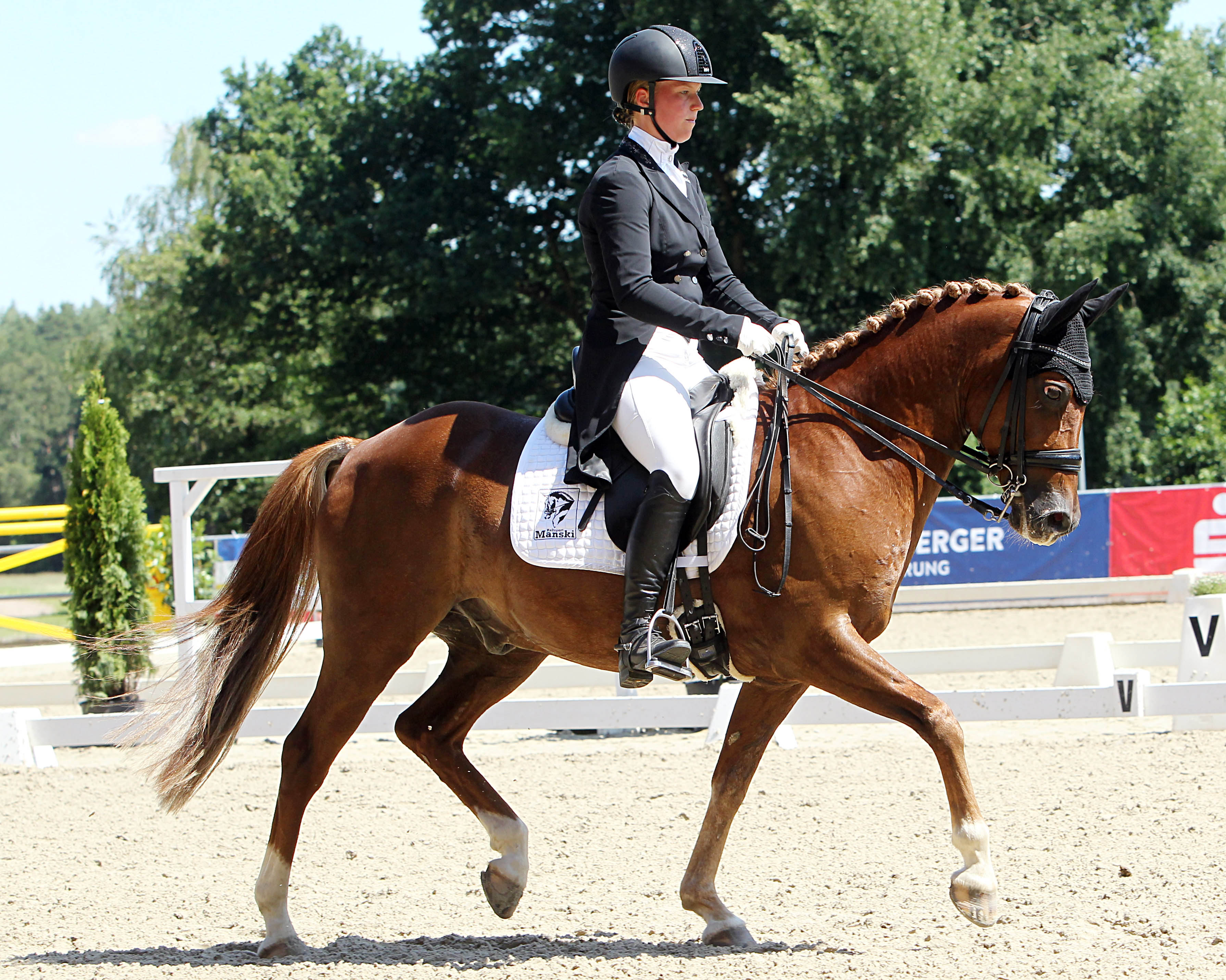 Dressurpony DOMINO mit Ann-Christin Mehl. © J.Wego
