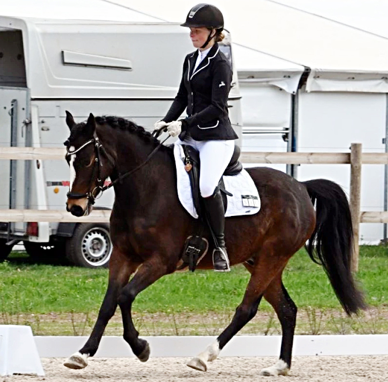 Vielseitigkeitspony DORNIK`S KLEINER GLÜCKSPILS mit Antonia Drewes. © Imago