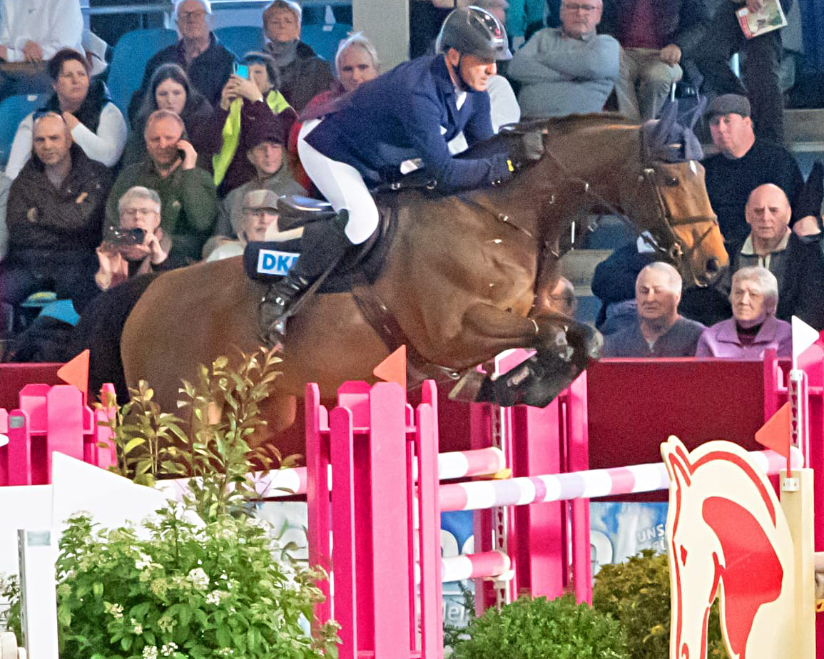 Einen Sieg gab es für MV durch Holger Wulschner in einem 1,45m Springen auf dem 11-jährigen Quaid I-Sohn Quantico. © KaLo