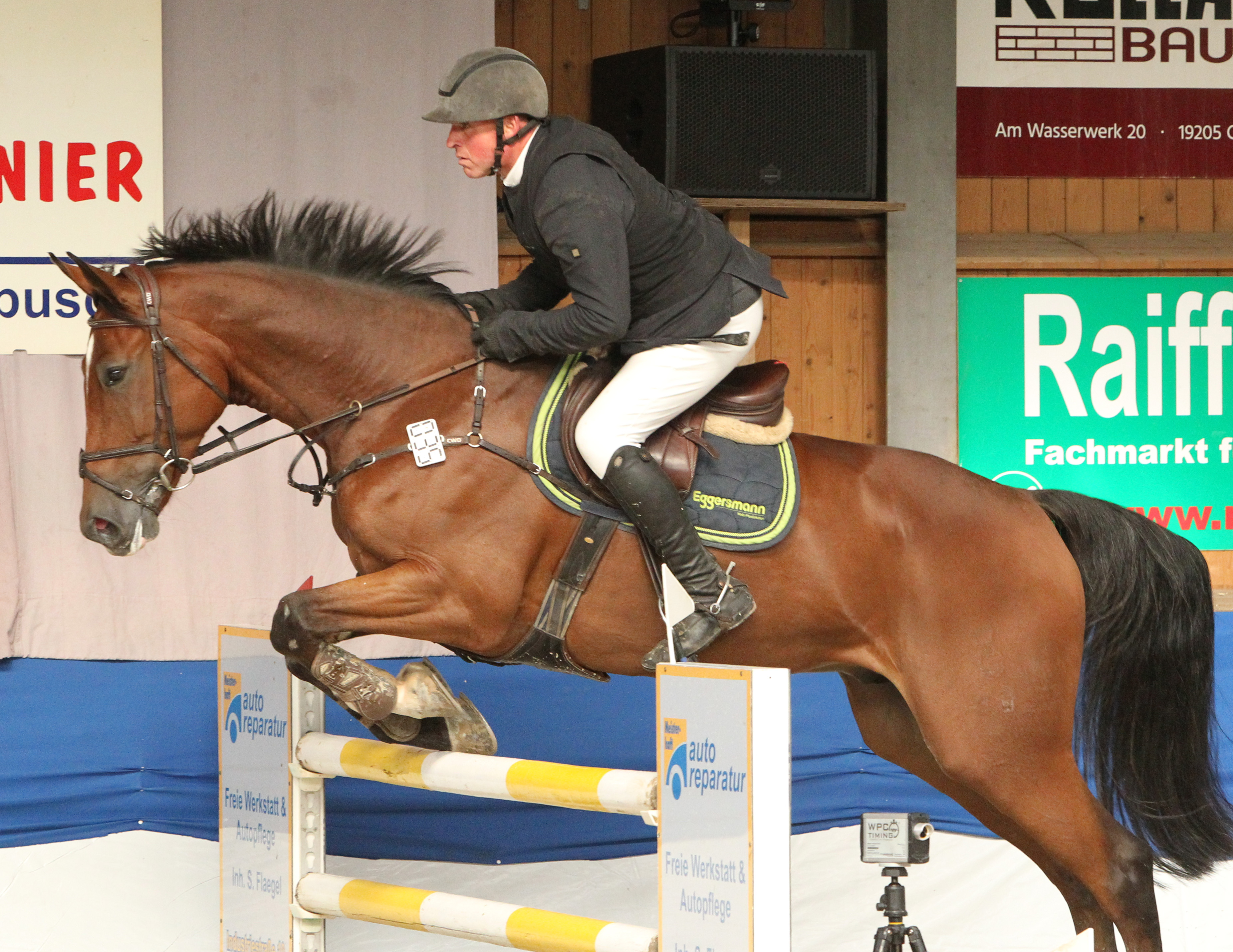 Erfolgreichster MV-Reiter im Finale des Partner Pferd Cups war Jörg Möller auf Platz 7 mit dem 8-jährigen im eigenen Besitz befindlichen Casallco-Sohn Caloubet. © J.Wego