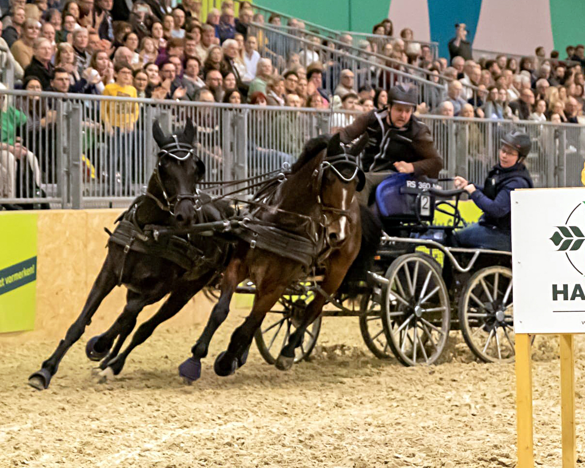 Der Sieg in der 2. Wertungsprüfung der HIPPOLOGICA Masters der Fahrer ging an Tobias Kriemann von der Reitergolde Katzow. © KaLo