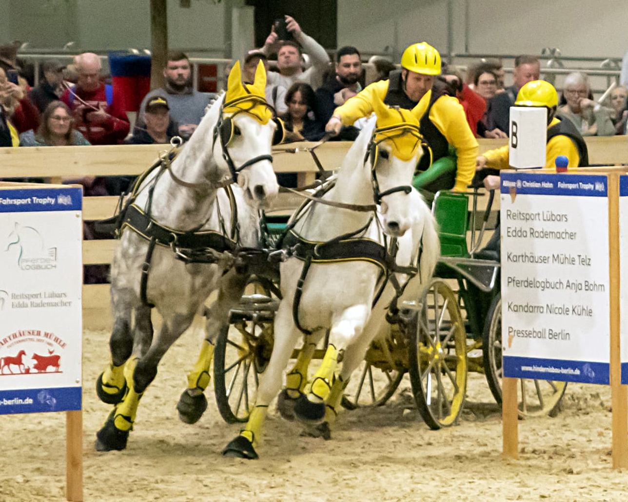 Die Masters der Zweispännerfahrer ging nach Klötze an Heino Gerich. © KaLo