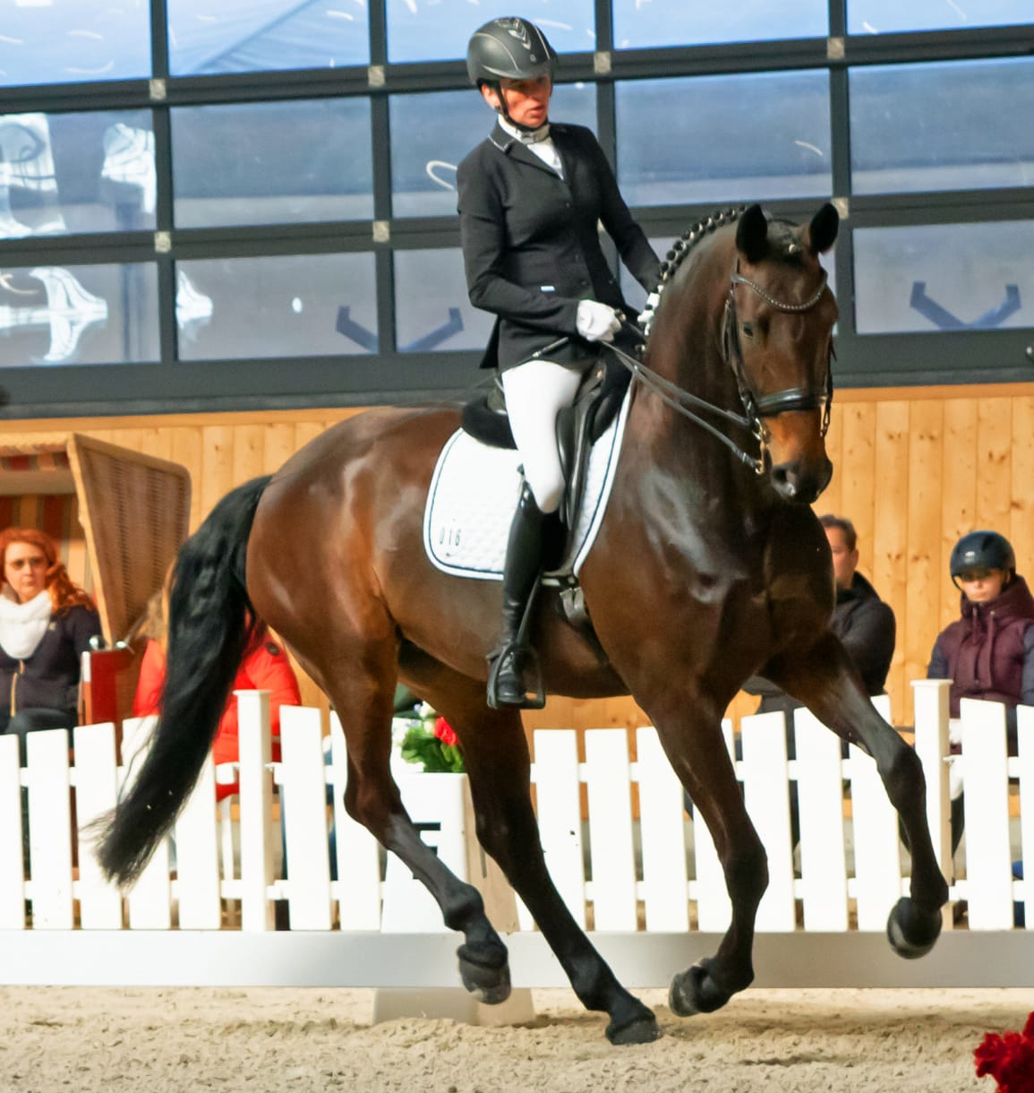 Siegerin der M7 um die Qualifikation zur Femfert Dressage Trophy 2025 wurde Andrea Elsholz (Zierow) mit der 8-jährigen Stute Bella B (v. Belantis). © KaLo