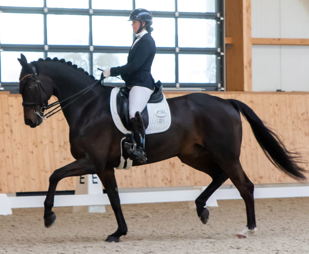 Zweifache L-Siegerin der Aufgaben L10 und L12 wurde Katja Gleisner (TSP Güstrow) mit dem 11-jährigen Negros son (v. Negro. © KaLo
