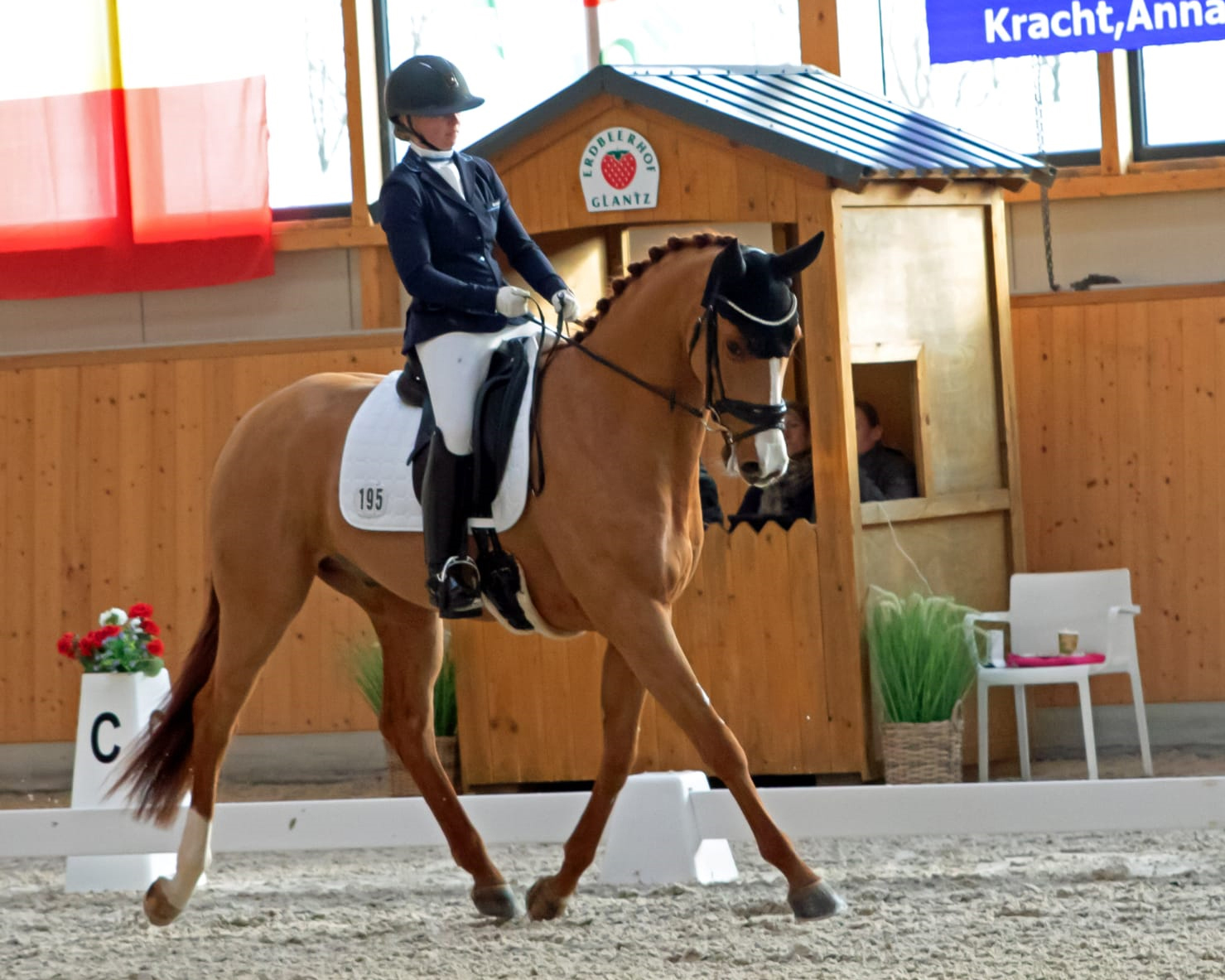 Paulin Lutze aus Weitenhagen, die für den Greifswalder Akademischen RV reitet, ost die neue Bereiterin für Dressurpferde in Hohen Wischendorf (hier mit dem 4-jährigen Veterano EG, mit dem sie in der Reitpferdeprüfung Dritte wurde). © KaLo