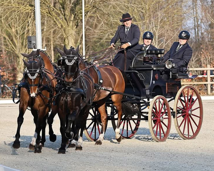 Zum Saisonauftakt der Fahrer beim internationalen Drei-Sterne-Turnier im niederländischen Exloo wurde der Mecklenburger Mario Schildt aus Nieköhr bei Gnoien mit seinem Vierspänner am Wochenende Dritter. © Bigfeller