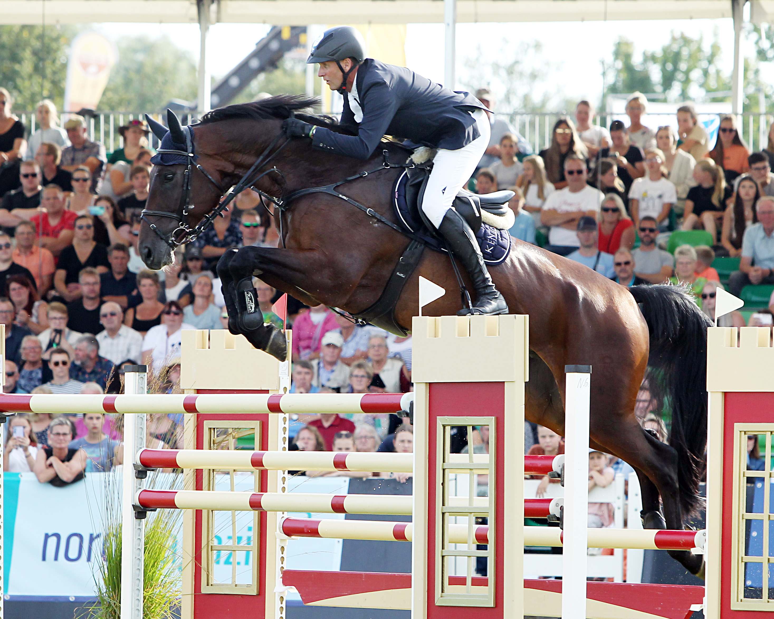 André Thieme beendete seine diesjährige Florida Tournee mit 19 Platzierungen und drei Siegen. Mit dem 11-jährigen Perigueux / Sir Shutterfly-Sohn Paule S (Foto) gewann er einen 200.000 USD Grand Prix (1,60m) und trug wesentlich dazu bei, dass das deutsche Team im Longines League of Nations im WEC von Ocala den 2. Platz belegte. © Archiv Wego
