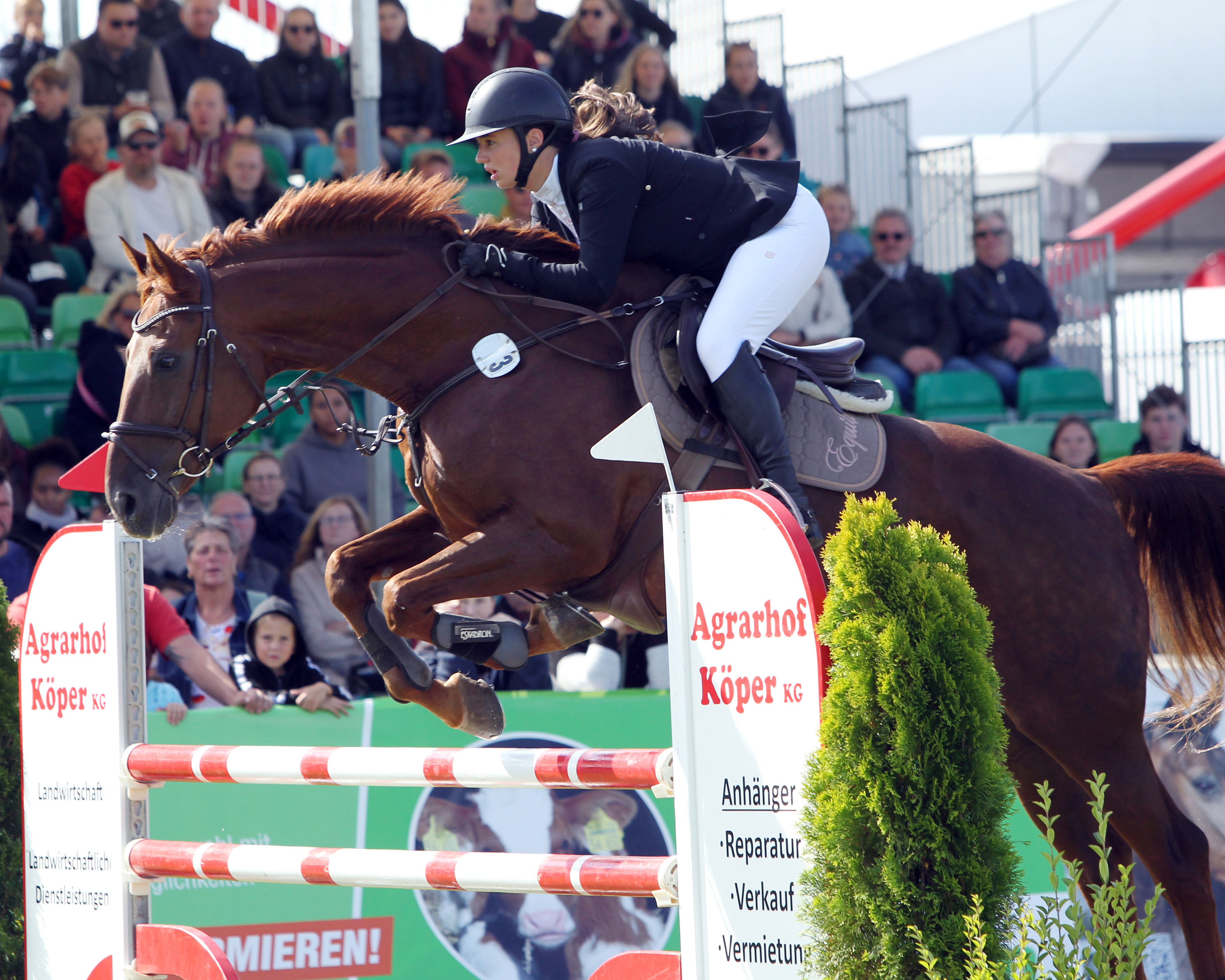 Das älteste Pferd des Turniers hatte mit dem 21-jährigen Adelino M Luise Jürgens unter dem Sattel, mit dem sie eine L-Abteilung der Qualifikation zum VR-Spring-Cup 2025 gewann. © Archiv Wego