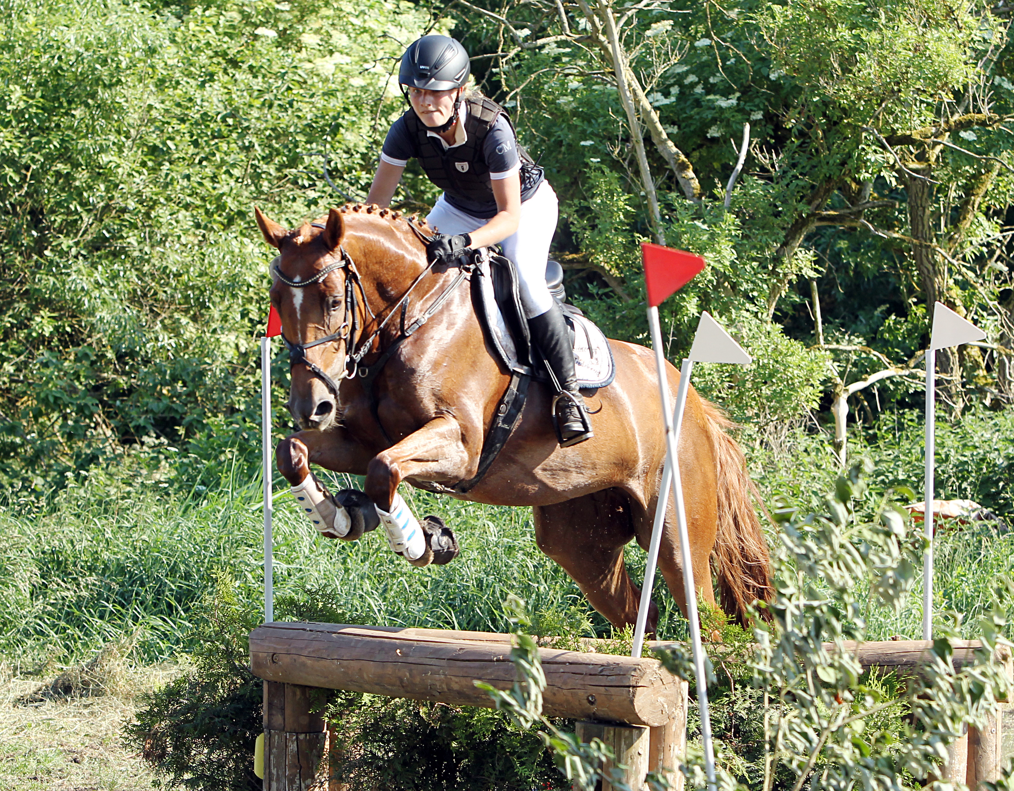 Sandra Penndorf (Heidekrug) wurde im Stilgeländeritt Klasse L mit ihrer selbstgezogenen Stute Daylight P (Foto) Sechste (8,0) und ritt den 6-jährigen Trakehner Fly High in der Geländepferde A mit 8,3 auf den 5. Platz. © Archiv Wego