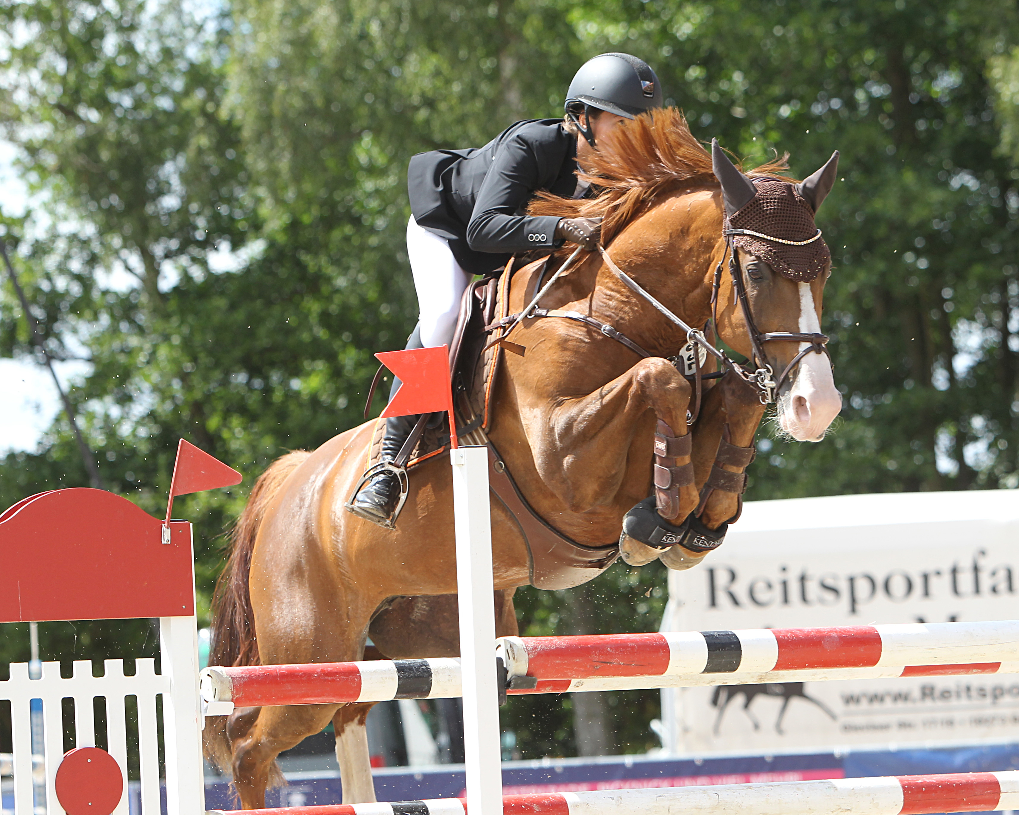 Anna Ebel-Jürgens (Polzow) steht die 15-jährige Charletta wieder zur Verfügung, die mit der Chap II-Stute das Championat (M2*) und zuvor ein M1*-Springen gewann. © J.Wego