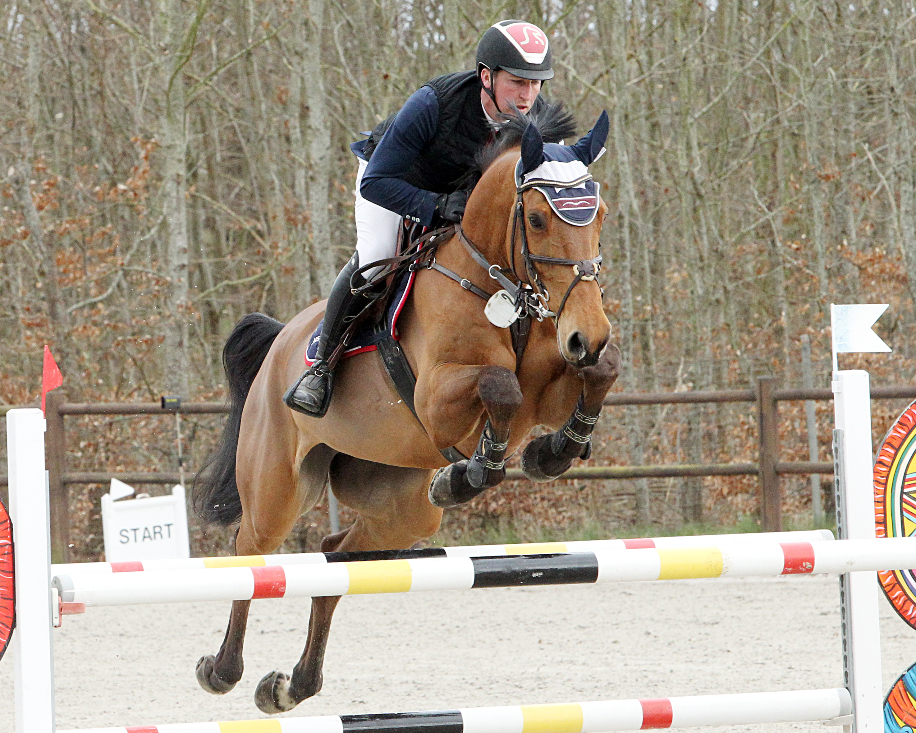 Zu zwei Siegen kam Paul Wiktor (Trent) in Polzow und im Großen Preis wurde er mit dem 8-jährigen Aber Nu W Z (Foto) aus der Zucht seiner Oma Margitta Vierter. © J. Wego