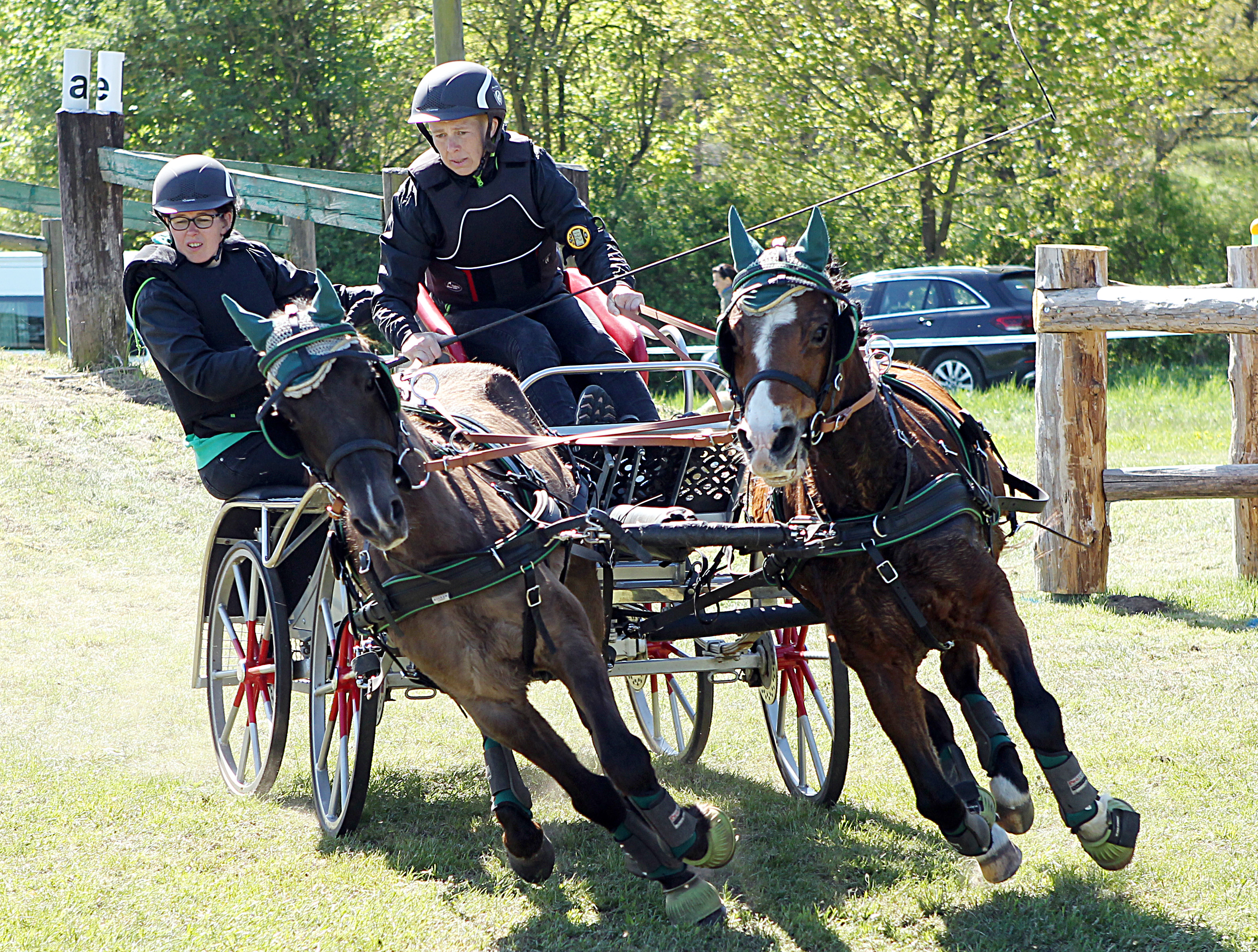 Anja Böttcher (PSV Friedland mit den Welsh-Ponys Sonnenberg’s Yabadabadoo und Black Wonder. © J. Wego