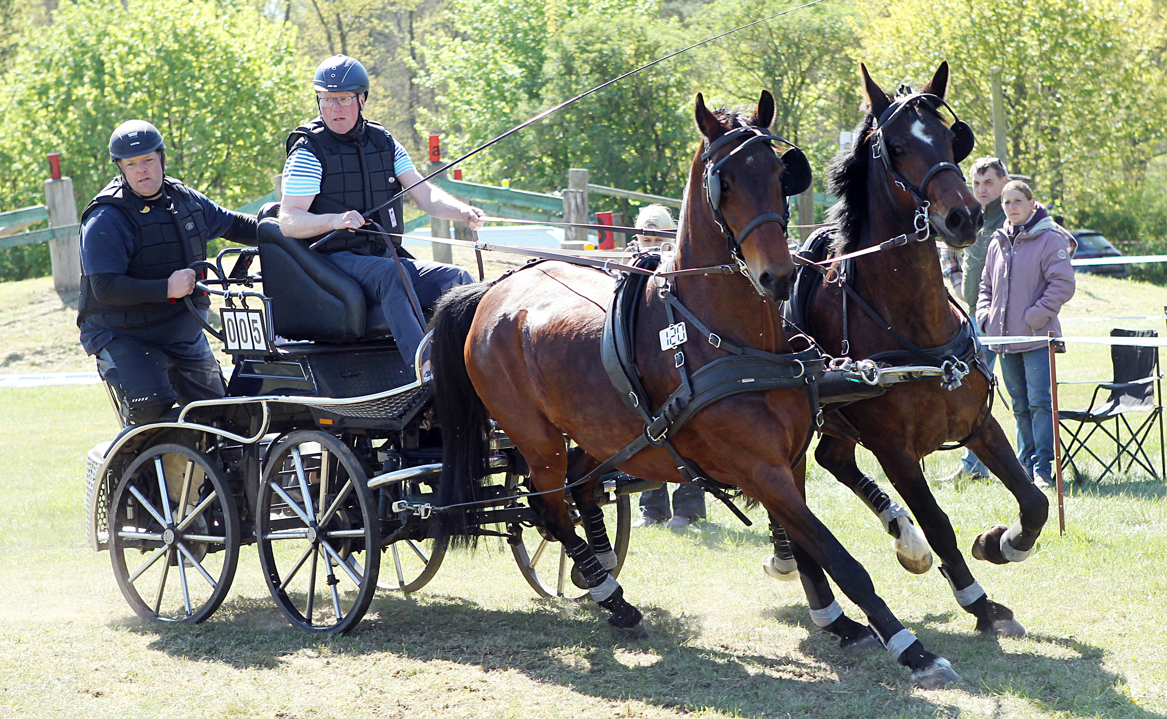 Jörg Bogdan (Lewitzer RFV) mit den Pferden La Liberté und Mister James. © J. Wego