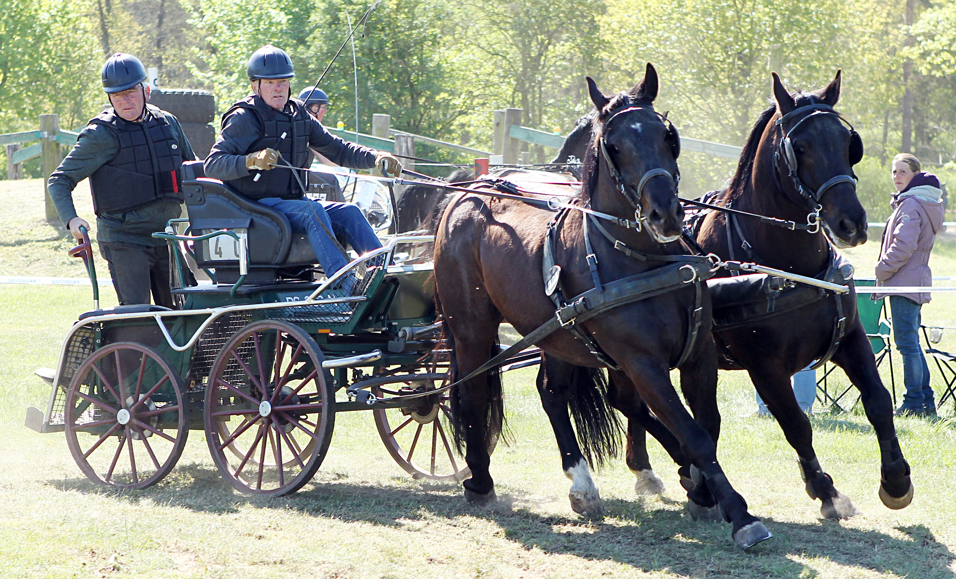 Heinz Priestaff (RFV Bollewick) mit den Pferden Eliot und Lukier. © J. Wego