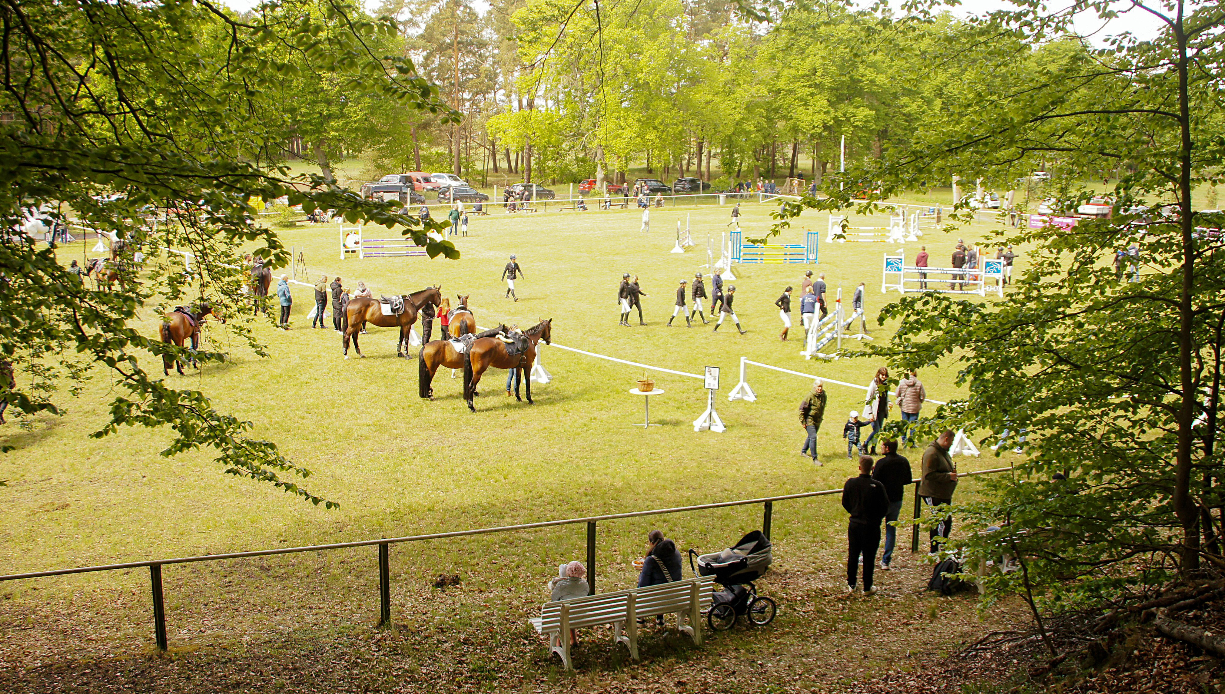 Der idyllisch gelegene Reitplatz in Ludwigshof präsentierte sich den Reitern in bester Verfassung. © A.K.