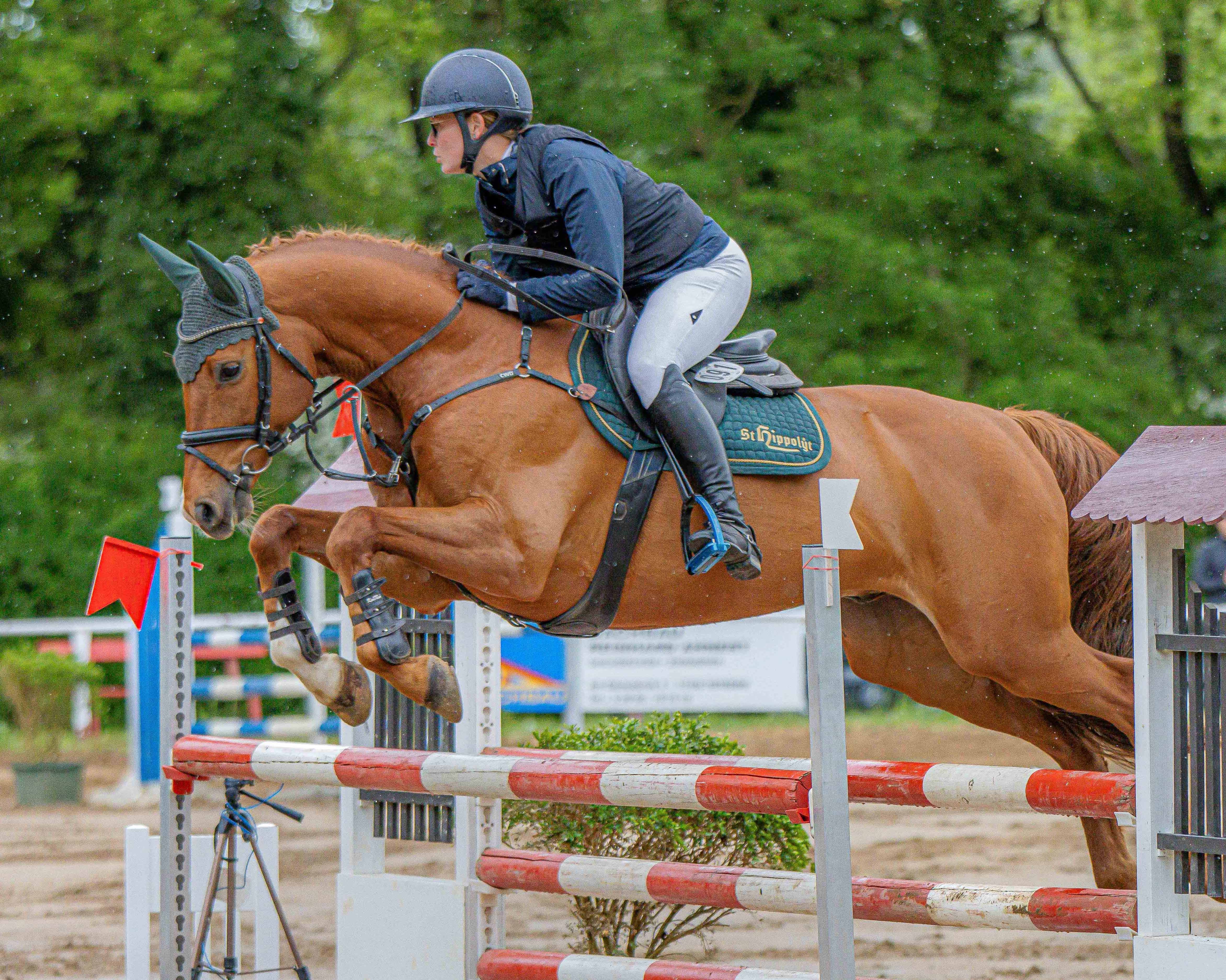 Annelen Heinrich hat im 9-jährigen Come on Cero (v. Cero I) ein Klassepferd mit dem sie Stilspringen in Serie gewinnt, so geschehen auch in Teschow. © Sophia Boge
