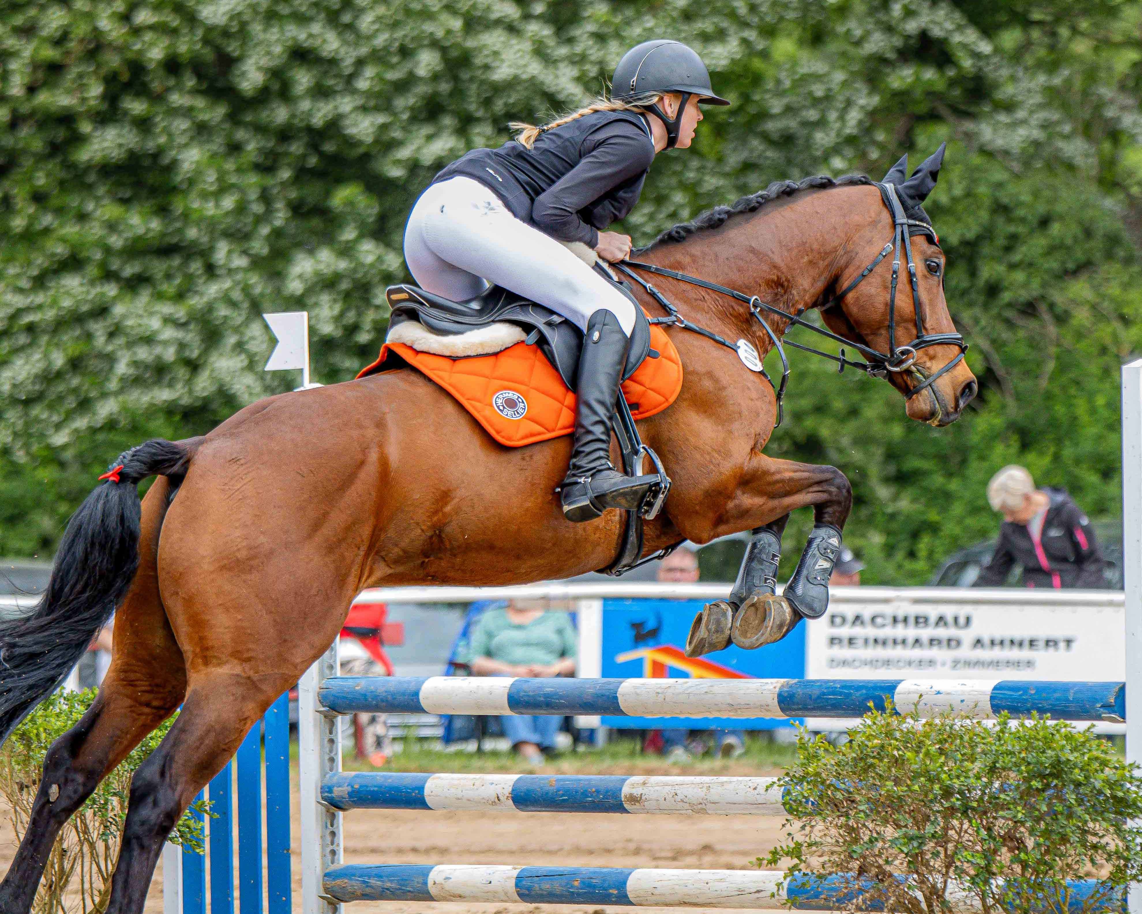 Das Zwei-Sterne A-Springen am Sonntag gewann Magdalena Köhler (Alter Landsitz Sommerstorf) mit dem 10-jährigen Agato. © Sophia Boge