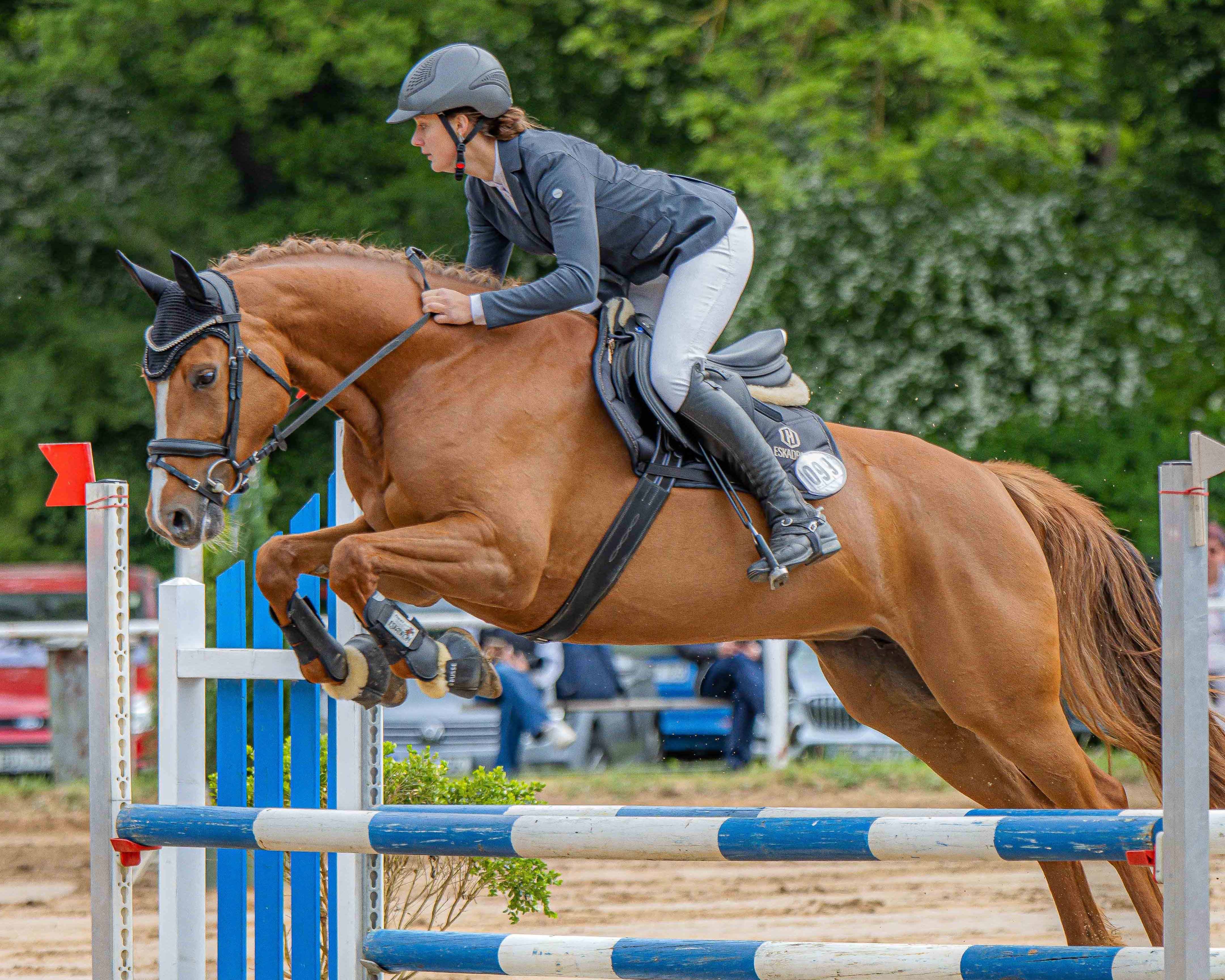Das Stilspringen Klasse A gewann Ronja Marlen Schmitz (PSV Sternfeld) mit der Wertnote 8,7 auf der 5-jährigen Stute Coralie. © Sophia Boge