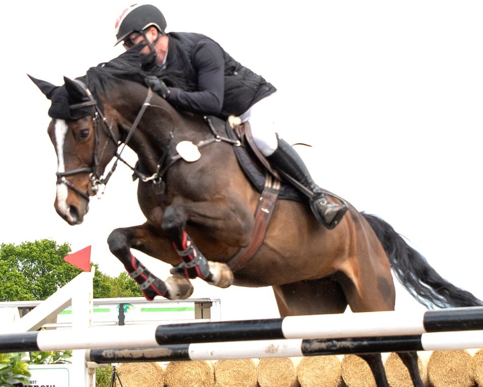Paul Wiktor (Trent) hat mit der 7-jährigen Stute Comtess Valentina (Foto) das M2*-Springen gewonnen, wurde mit Aber Nu W Z auch Zweiter, den er im Großen Preis auf den 5. Platz ritt. © KaLo