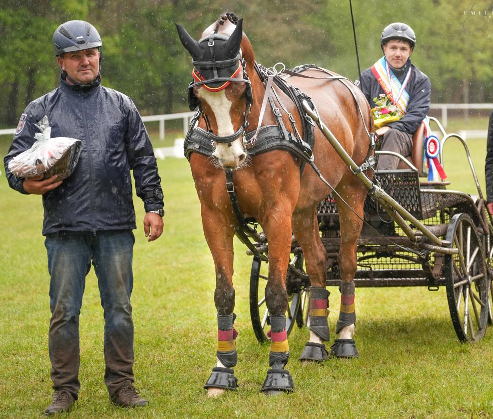 Der 15-jährige Landesmeister im Einspännerfahren 2025, Marvin Schildt (PSV Nieköhr), mit Großpferd Gam Boy und Vater Mario Schildt als Beifahrer.