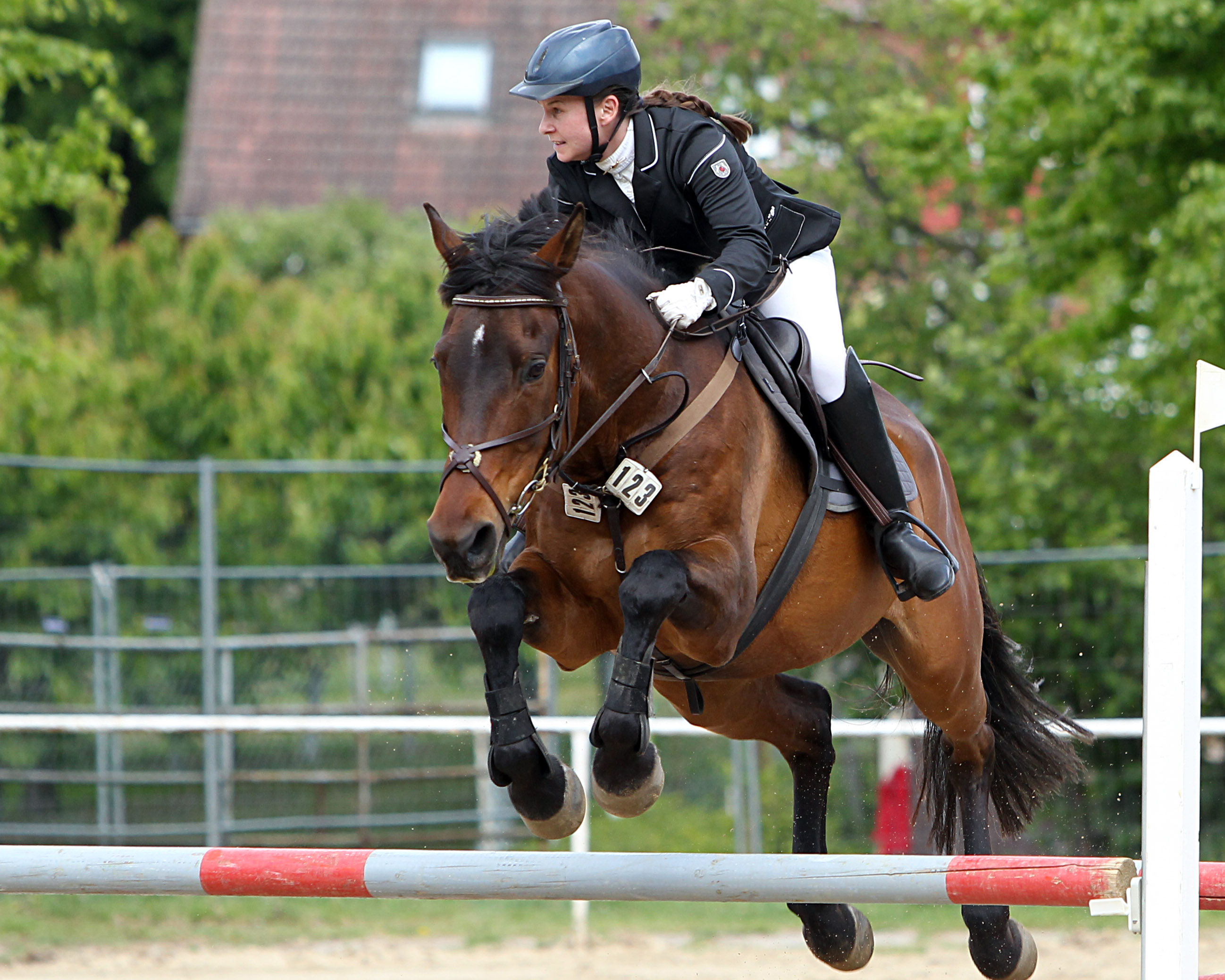 Zu den Siegerinnen des gastgebenden SRV Dummerstorf-Rostock gehört Susanne Möller mit dem 17-jährigen Fiorello. Firello, die zwei A-Springen gewann. © J. Wego