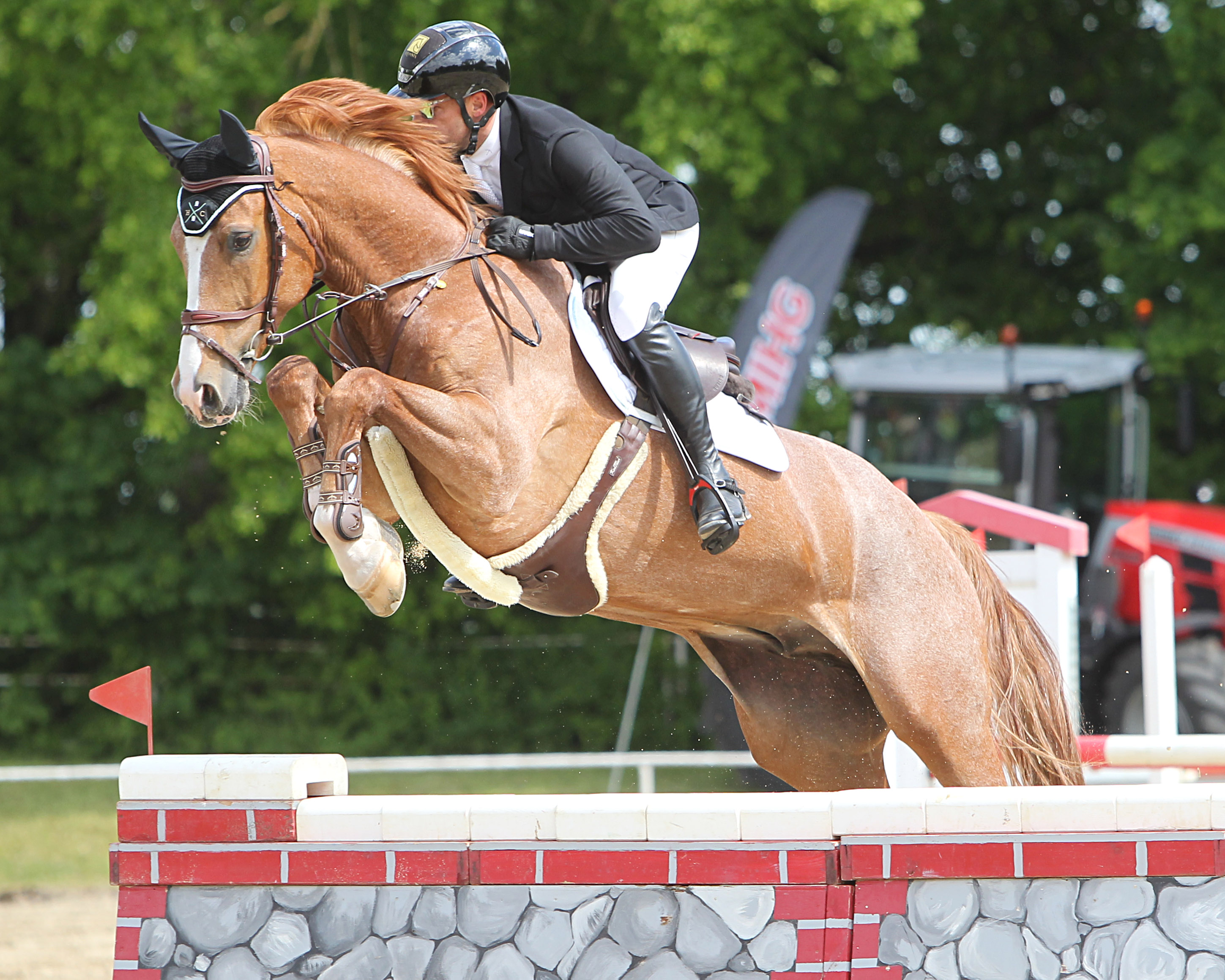 Das M-Springen in Dummerstorf hat Christoph Amelong (Alt Sammit) mit dem 6-jährigen Mecklenburger Chap II-Sohn Chapose gewonnen. © J.Wego