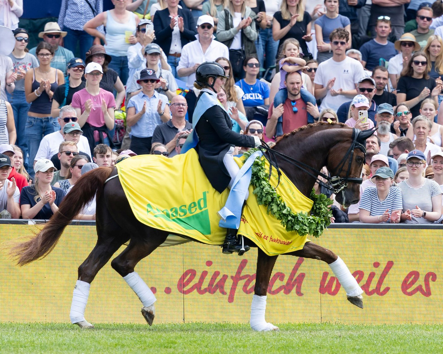  AL SHIRA`AA Deutsches Spring- und Dressur-Derby Hamburg
