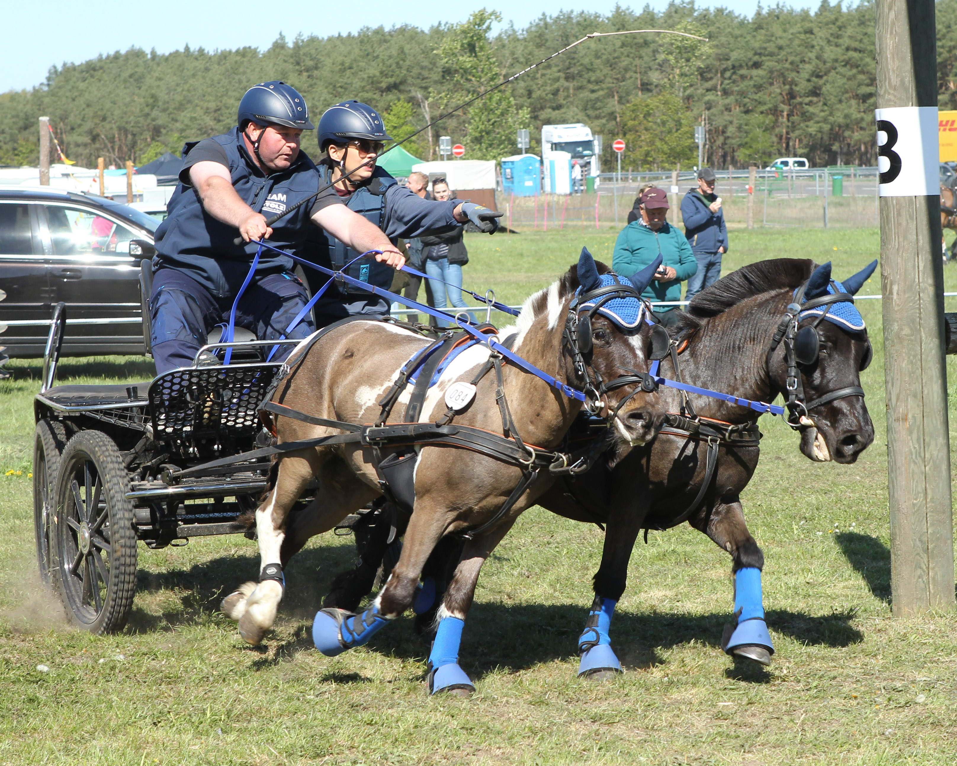 Zu drei Siegen in den Pony-Zweispännerprüfungen von Löwenberg-Linde kam Mathias Stump (Wusterhusen) am Wochenende - das Foto zeigt ihn mit Kir Royal vom Gotensee und Jackpot. © J. Wego