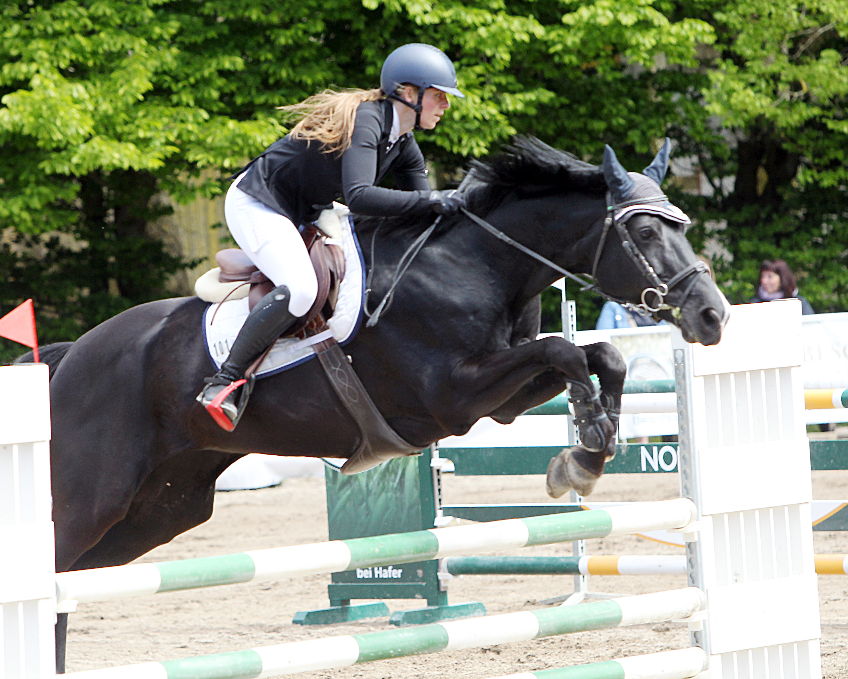 In zwei der drei L-Springen von Poseritz siegte Paulin Binz (Dubnitz) und wurde Kreismeisterin in der offenen Klasse. Mit Paula (Foto) gewann sie das Stilspringen. © J. Wego